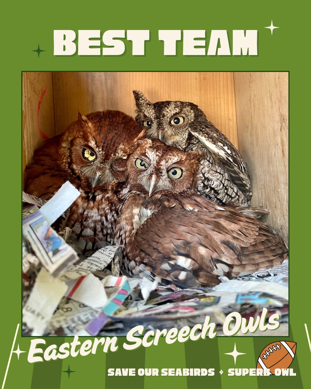 🦉 DAY 3 – HUDDLE UP! 🦉
Superb Owl rolls on, and today it’s all about teamwork!
Category: Best Team 🤝
Which crew looks like they’re plotting world domination together? Drop your choice in the comments - the team with the most love scores the win!
🏆 MVP reveal drops February 6 - so keep those reactions coming across all categories!
Quick Recap:
Day 1: Best Defense = Wanda
Day 2: Best Tackle = Archimedes
Want to meet our superb owls? We’re open daily from 10am–5pm, and admission is always free!
#superbowl #animallovers #birdnerd