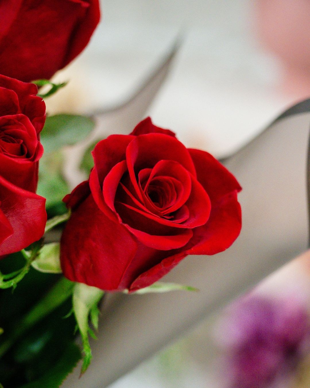 Cheeky rendezvous this Saturday? Or kicking back with the gang to celebrate a different kind of love? Either way, we’ve got the spot for you 🌻
This Valentine’s Day, settle in with live R&B by @rein.mali, a brunch worth getting romantic about, and pre-order roses by @simply_different_florist, ready and waiting at your table when you book online.
Booking link in bio...
#SydneyWeekender #WhatsOnSydney #SydneyFoodies