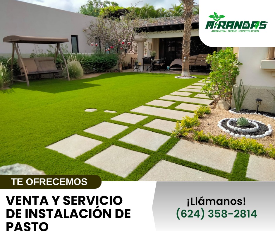 Renueva tu patio, jardín o cochera con pasto natural o sintético, de alta calidad y con acabado profesional.
En Jardinería Mirandas nos encargamos de todo el proceso para que disfrutes un espacio verde, limpio y funcional desde el primer día.
📞 Cotiza con nosotros: 624 358 2814
Trabajando para ti