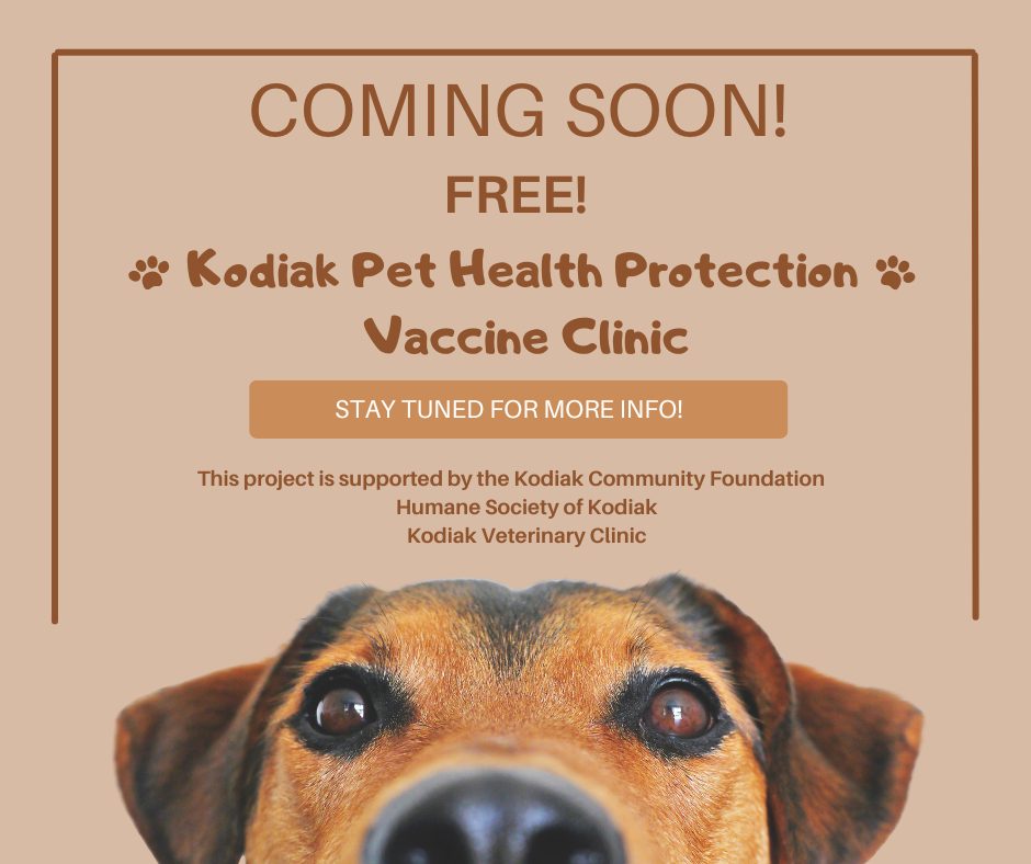 🐾 Big News for Kodiak Pet Parents! 🐾
We’re so excited to announce the Kodiak Pet Health Protection – Vaccine Clinic happening April 11th! 💉🐶🐱
We’re partnering with the amazing team at Kodiak Veterinary Clinic to provide core vaccines for both dogs and cats. Completely free of charge to our community!
✨ More details coming soon - stay tuned!
This important project is made possible by a generous grant from the Kodiak Community Foundation, an Affiliate of The Alaska Community Foundation. We are so grateful for their support in helping keep Kodiak pets healthy and protected! 💙