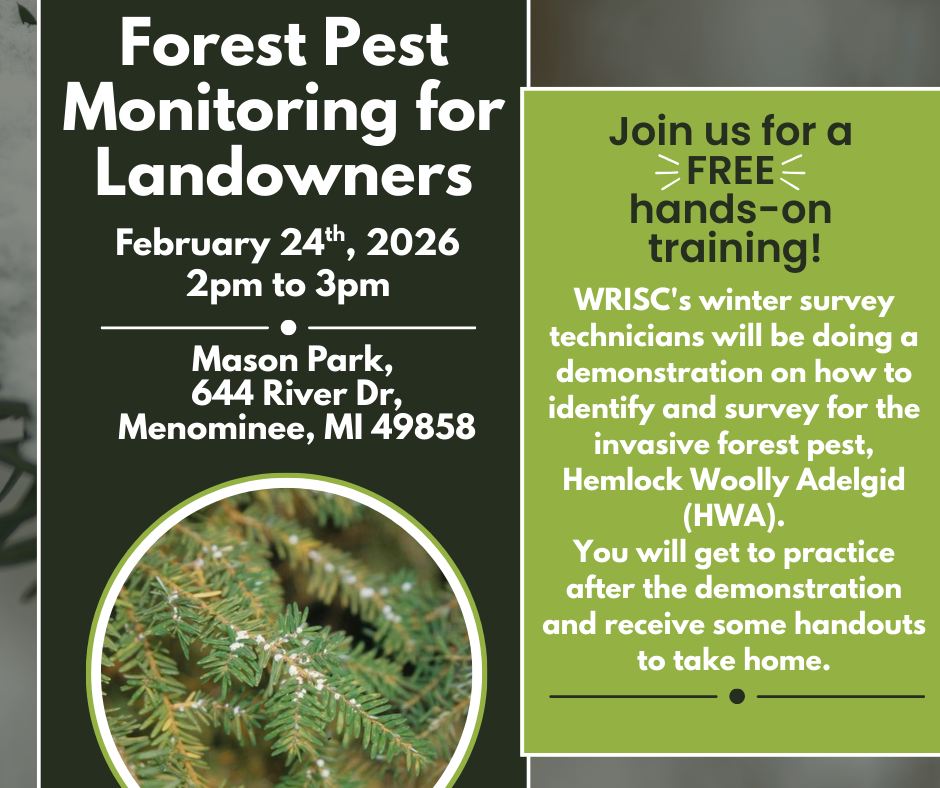 🌲Hemlock Woolly Adelgid (HWA) is an invasive forest pest that targets Hemlock trees. By feeding on sap in winter and early spring, HWA stops hemlocks from growing new needles, eventually starving and killing the tree.
Although HWA has not been found in the Upper Peninsula, early detection is important to limit the spread of this invasive insect.
At this training, we will teach you how to survey your hemlock trees so you can help protect them and the surrounding trees! Helping to keep our trees and ecosystems healthy. Our team will conduct a demonstration and then provide hands-on practice at Mason Park. You will also get some helpful handouts to take home, with tips on identifying both Hemlock trees and HWA!
🌟And it's all free!! 🌟
Please join us at Mason Park on February 24th, at 2 pm! 🌲
RSVP and learn more here: https://www.wrisc.org/events-1/forest-pest-monitoring-for-landowners
#HandsOnLearning #surveying #invasiespecies #foresthealth #trees