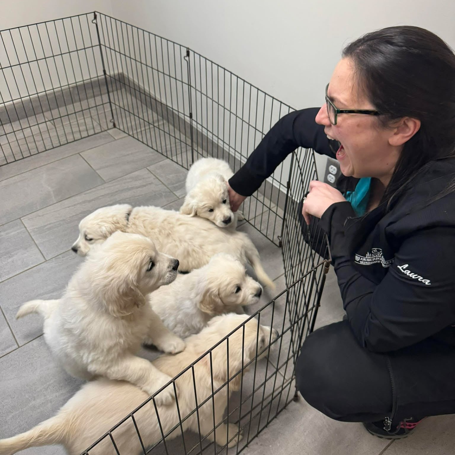 🥳 Happy Friday Folks 🥳
What better way to kick off the weekend than with these cute puppies & kittens! 🐶🐱
Enjoy❣
#puppiesofperthontario #kittensofperthontario #perthontario #blueberrycreekvet #vetmed #joy #weloveourjob