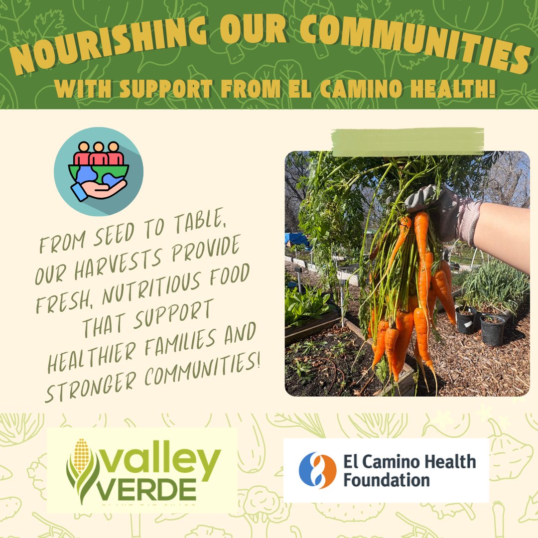 With the support of El Camino Health, we're growing more than food, we're growing healthier and stronger communities! Thank you for helping us make fresh, nutritious foods like these carrots harvested from our community garden more accessible to families 🥕💚
---
Con el apoyo de El Camino Health, estamos cultivando mas que alimentos, estamos cultivando comunidades mas saludables y fuertes! Gracias por ayudarnos a hacer que los alimentos frescos y nutritivos sean mas accesibles para las familias, incluyendo estas zanahorias cosechadas de nuestro huerto comunitario 🥕💚
#valleyverde #communitysupport #ElCaminoHealth #foodaccess #HealthyCommunities #healthyharvest