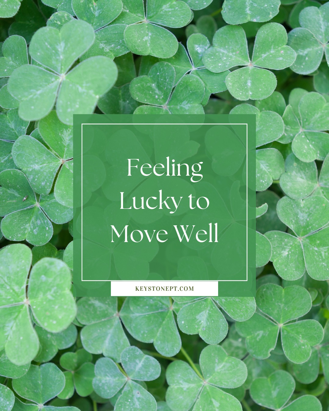 🍀 Feeling lucky? Your ability to move well isn’t just luck — it’s something you can care for, strengthen, and improve every day.
This St. Patrick’s Day, take a moment to appreciate all the ways your body supports you — walking, working, playing, and living life fully. And if aches or pain are slowing you down, physical therapy can help you get back to moving with confidence.
Here’s to healthy movement, strong bodies, and a little extra luck along the way. 💚
#StPatricksDay #FeelingLucky #MoveWell #PhysicalTherapy #HealthyMovement #MovementIsMedicine #KeystonePT #StayActive #MobilityMatters #PainFreeLiving #WellnessJourney #InjuryPrevention #MoveBetterFeelBetter #ActiveLifestyle #BrookfieldWI #WisconsinWellness #PTCare #HealthyHabits #StrongerEveryDay #FunctionalMovement #PreventPain #MoveWellLiveWell #WellnessMotivation #PhysicalTherapist #RehabStrong #DailyMovement #HealthAndWellness #LuckyToMove #CelebrateMovement #WellnessCare