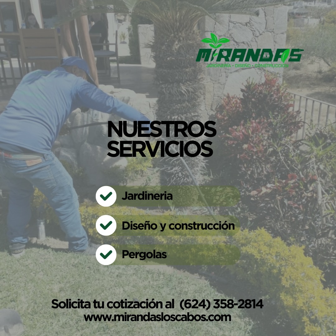 🌿✨ Transformamos tus espacios exteriores ✨🌿
En Jardinería Mirandas ofrecemos servicios de jardinería, diseño de jardines, construcción, instalación de pasto sintético, pérgolas y mantenimiento mensual.
Creamos espacios funcionales, estéticos y listos para disfrutar, ya sea en tu casa, negocio o privada.
Conoce más sobre nuestros proyectos y servicios en nuestro sitio web 👇
🌐 Visítanos y descubre cómo podemos ayudarte.
📞 Cotizaciones: 624 358 2814