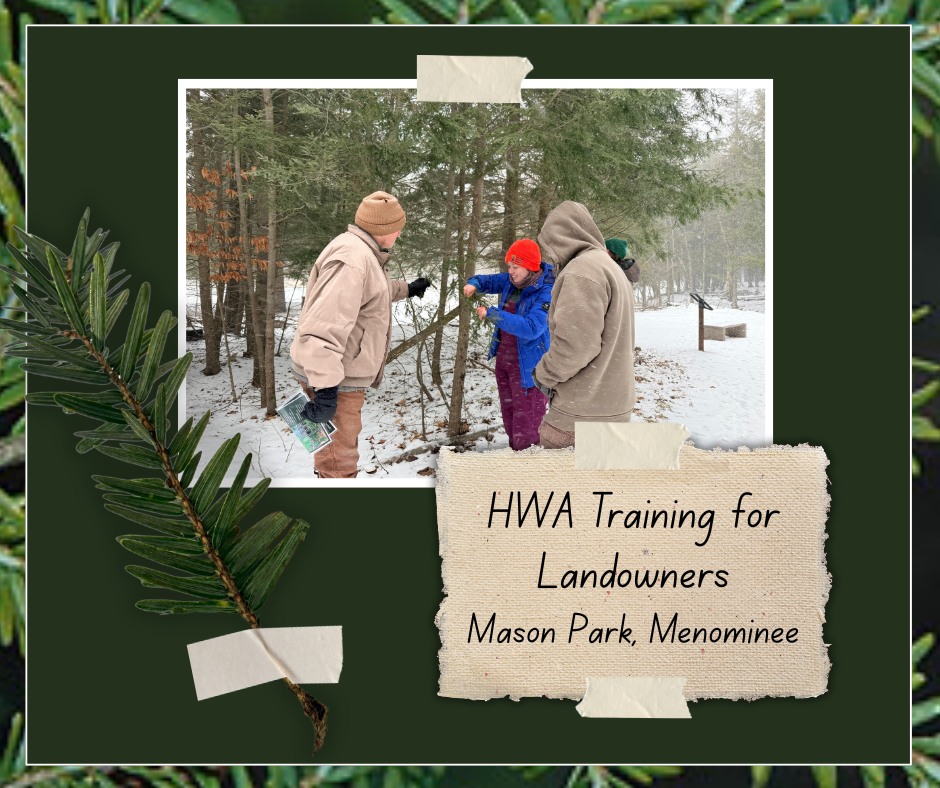 Our forest Pest Monitoring training went well yesterday! There was a small but enthusiastic turnout. We discussed everything Hemlock Woolly Adelgid (HWA), including biology, spread, treatment ,and more! It started snowing, but we still got some good survey practice in and spotted some common look-alikes. But luckily, we didn't spot any HWA!
Thanks to everyone who came by!
#hemlock #foresthealth #forestpests #invasivespecies #handsontraining