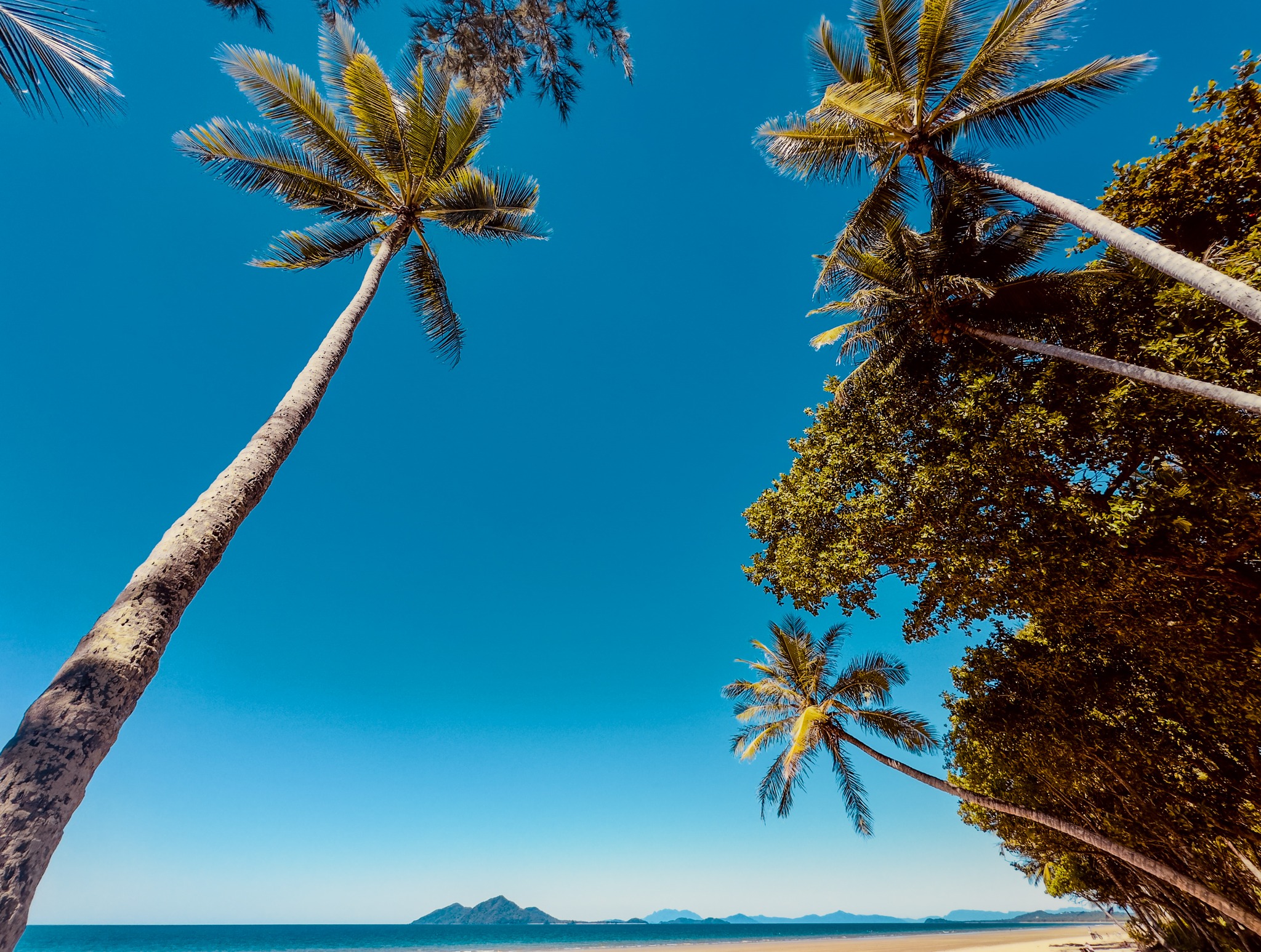 Supporting Regional QLD
Big city service… regional heart ❤️
Best Life Legal proudly supports clients right across regional Queensland.
Wherever you are — coastal, rural or remote — you deserve clear, professional legal advice without the long drive.
Local understanding. Real support. Straightforward guidance.
That’s how we do law.