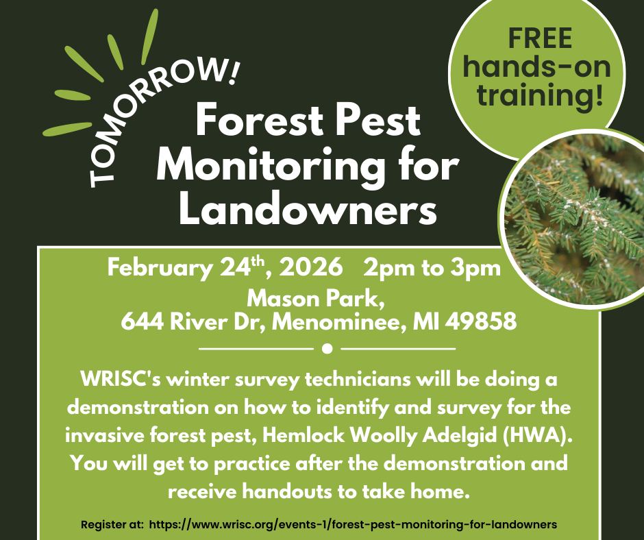 🌲Hey everyone! 🌲
Don't forget, tomorrow, February 24th at 2pm, we will be holding a free training for landowners on how to identify and survey for invasive Hemlock Woolly Adelgid (HWA)!
It will take place at Mason Park in Menominee, where you will be able to practice surveying on real Hemlock Trees.
Register at: https://www.wrisc.org/events-1/forest-pest-monitoring-for-landowners
Can't wait to see you there!
#invasivespecies #freetraining #HWA #foresthealth