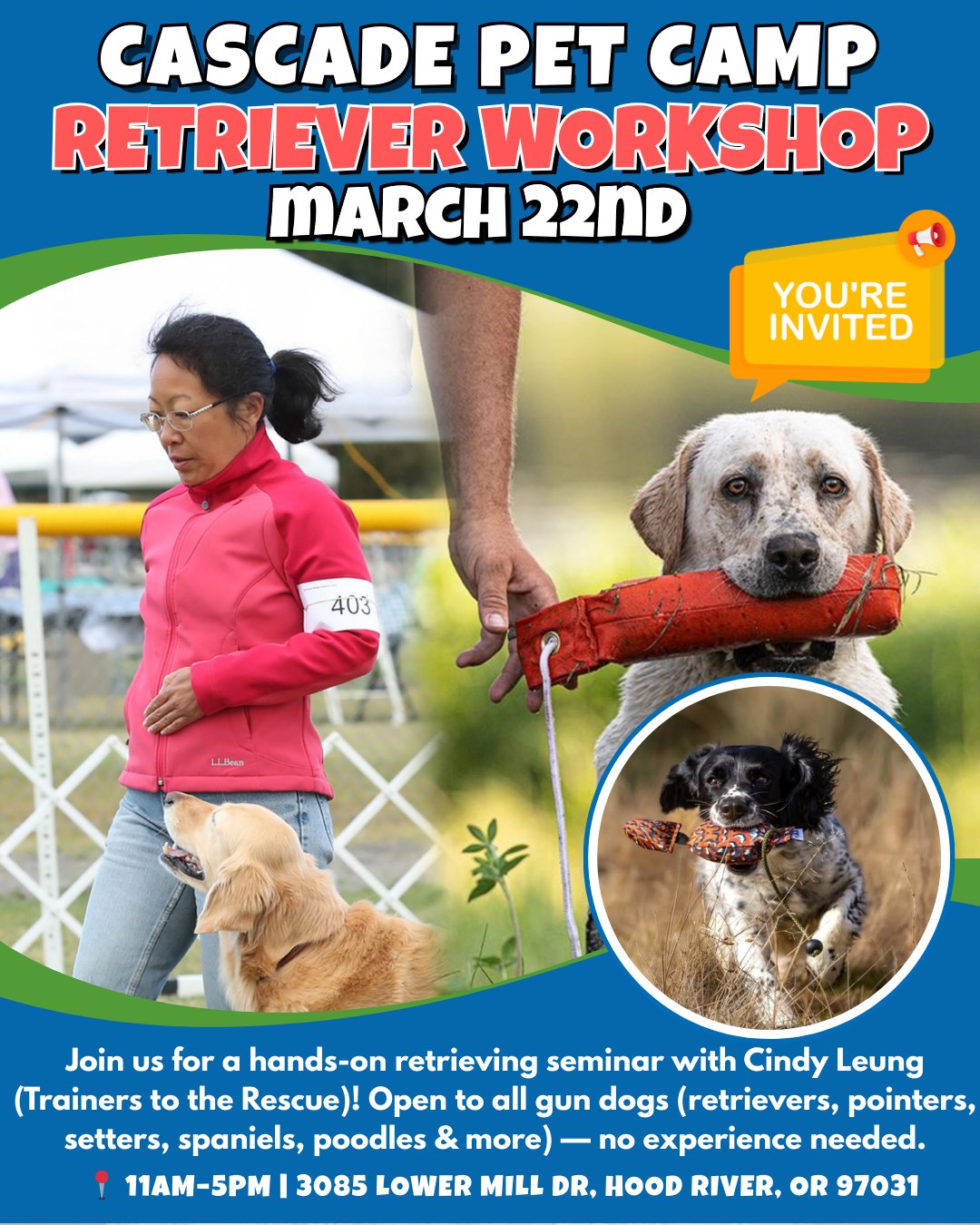 🎯🐾 Calling All Gun Dogs! 🐾🎯
Do you have a gun dog who would love to explore retrieving and field work? Join us for a hands-on seminar with Cindy Leung (Trainers to the Rescue) designed for retrievers, pointers, setters, spaniels, poodles, and all sporting breeds — no experience required!
We’re offering two sessions to fit your schedule:
🕘 Morning: 9 AM – 12 PM
🕐 Afternoon: 1 PM – 4 PM
Each dog will have 3+ indoor sessions introducing winged bumpers and birds, followed by 3+ field retrieving opportunities outdoors. This workshop is perfect for anyone curious about pursuing the sport!
Past participants have gone on to earn JH titles, working certificates, UKC/HRC Started Retriever titles, and more! You’ll leave with skills to practice and options for continued training. Returning teams are welcome!
💲 $180 working spot | $65 audit
📧 training@cascadepetcamp.com
📍3085 Lower Mill Dr
Hood River, OR 97031