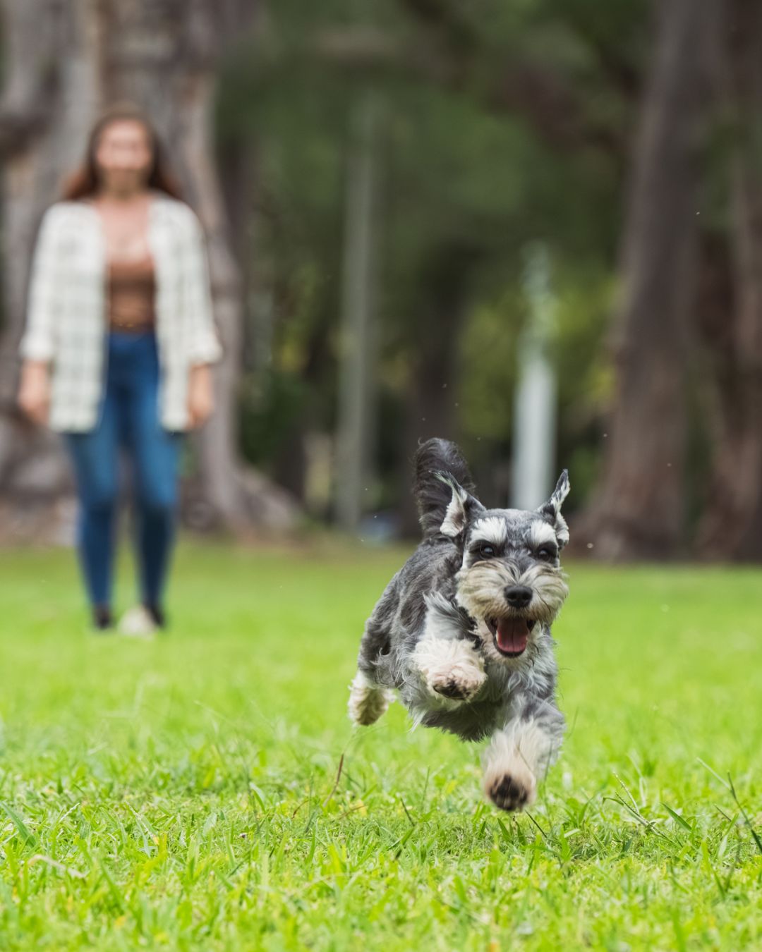 Can anyone tell us why running dogs are so darn cute? Nothing but joy and freedom. Destiny, Bambi, and Murphy from @bambimurphy_bk9s helped us make some incredible images for a recent commercial lifestyle photoshoot!
We work with pet brands to create imagery that resonates with their target customer. Got a pet brand that needs photos? Reach out–we can’t wait to show you what we can do!
#dogsrunning #dogphotographer #dogphotography #commercialdogphotography #commercialdogphotographer