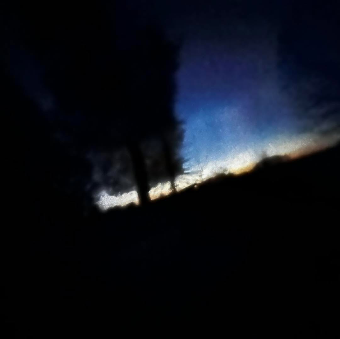 For now, the shop is dark.
It’s eerily quiet out here this morning, but underneath that quiet, something feels very alive.
Bulbs spend months invisible. Roots pushing quietly through cold soil long before anyone sees color.
There’s a blood moon lunar eclipse on the horizon.
Changes already underway.
Infrastructure.
Depth.
Rooting.
The project isn’t done.
But something is growing.
DFI is dead.
Long live DFI 2.0.
