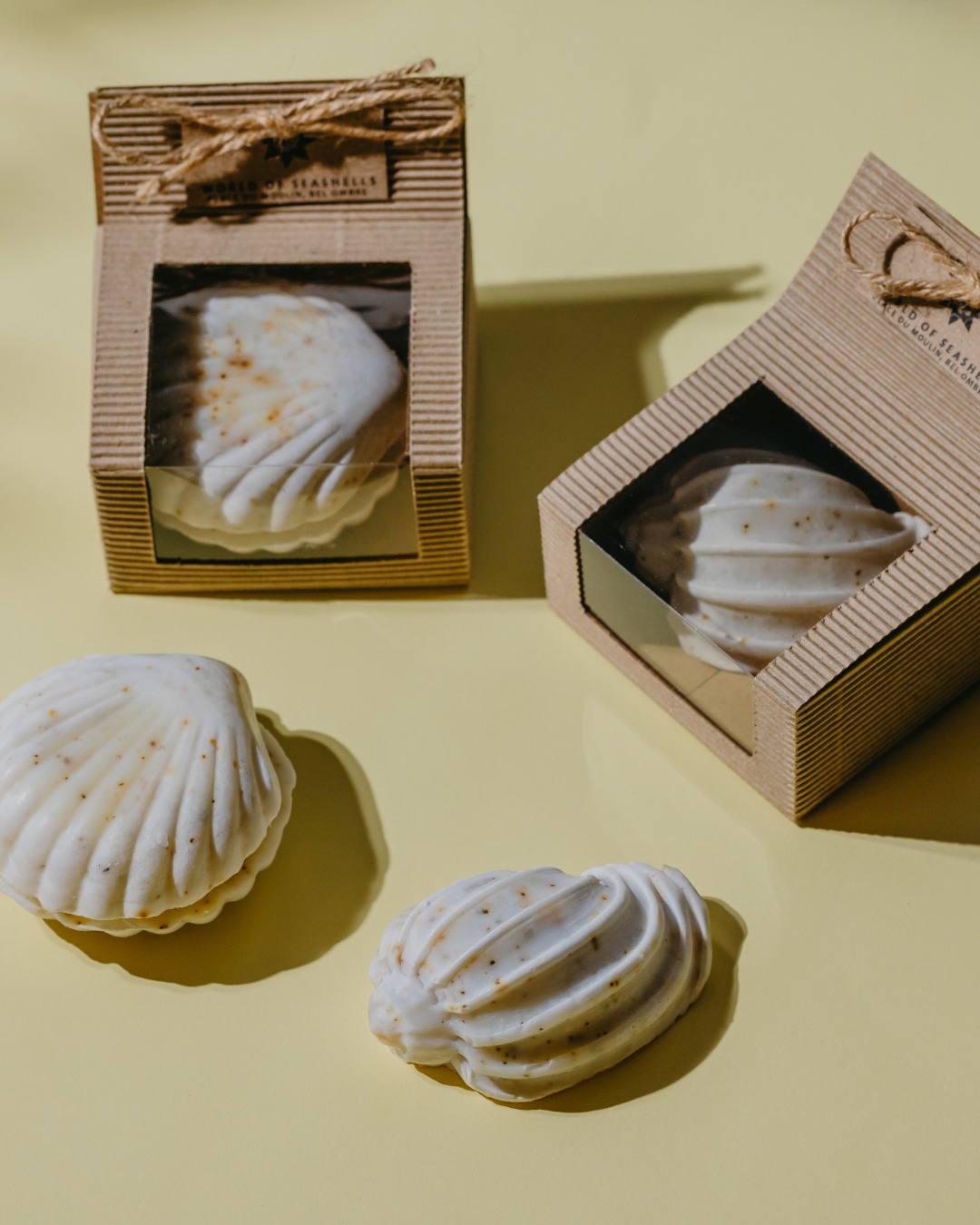 Notre boutique 🪸
Découvrez une sélection de bijoux inspirés des coquillages, de livres passionnants, de bougies artisanales, du café de Chamarel et bien d’autres trésors à emporter avec vous.
#WorldOfSeashells #BelOmbre #Mauritius #ExpérienceMusée #Local #Souvenir