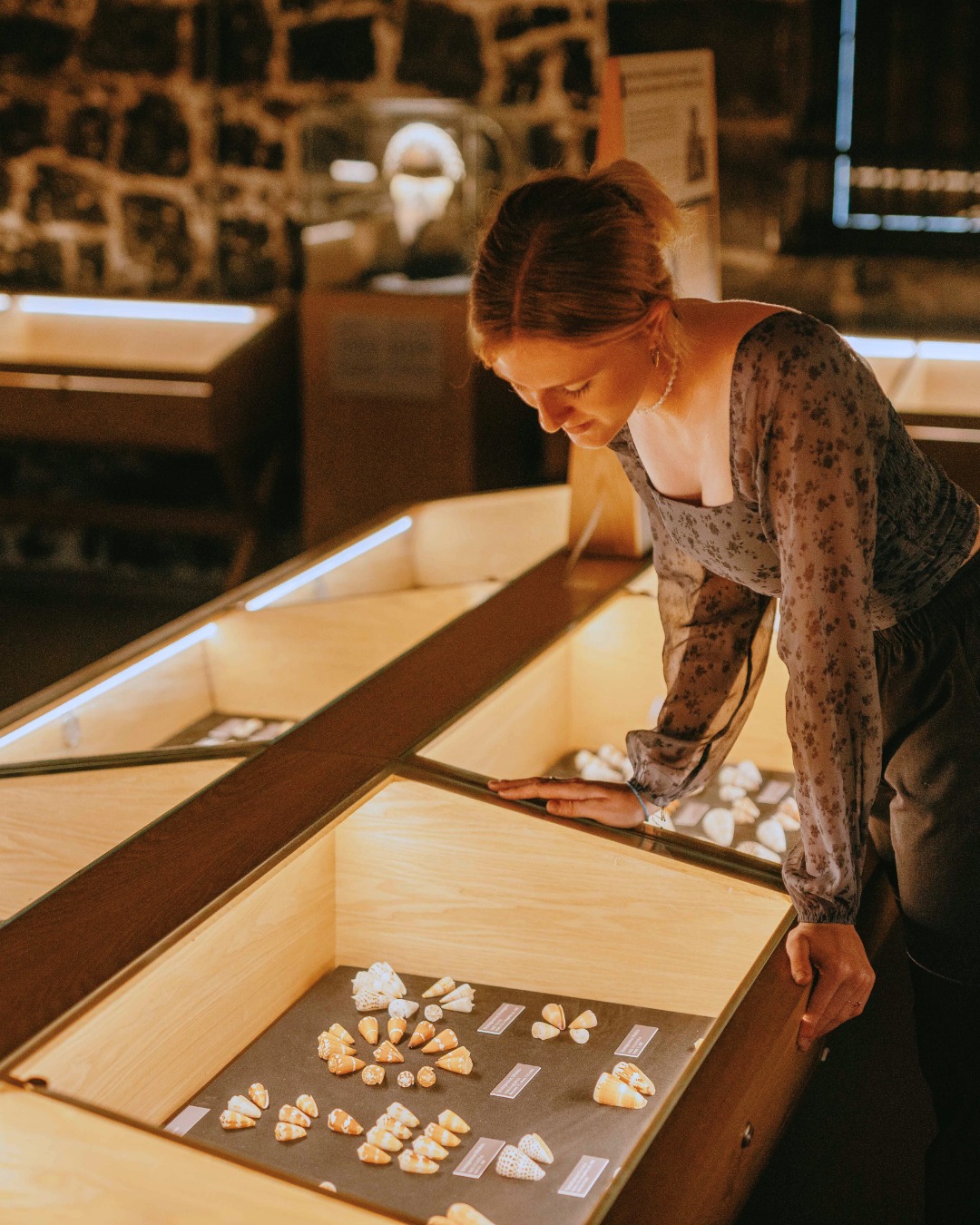 What if seashells could tell their story? 🐚
Behind every shape, every pattern and every colour lie centuries of evolution and a fascinating history.
At World of Seashells, come discover their origin and their role within marine ecosystems.
For bookings, contact us at reservations@worldofseashells.mu or call 623 7984.
#WorldOfSeashells #BelOmbre #Mauritius #OceanStories