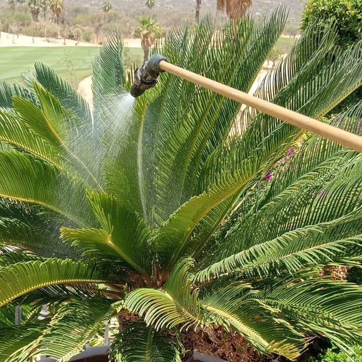 🌿✨ ¿Tus plantas se ven débiles, amarillentas o con plagas?
Muchas veces el problema no es solo el riego… es la falta de nutrientes o la presencia de plagas que dañan desde la raíz hasta las hojas.
🌱 El abono adecuado fortalece las plantas, mejora su crecimiento, intensifica el color verde y estimula la floración.
🛡️ La fumigación preventiva y correctiva protege contra insectos, hongos y plagas que pueden acabar con tu jardín en poco tiempo.
Un jardín sano no es casualidad, es mantenimiento profesional.
Si quieres que tus áreas verdes luzcan fuertes, saludables y bien cuidadas, nosotros te ayudamos.
📩 Envíanos mensaje para agendar tu servicio y darle nueva vida a tu jardín.