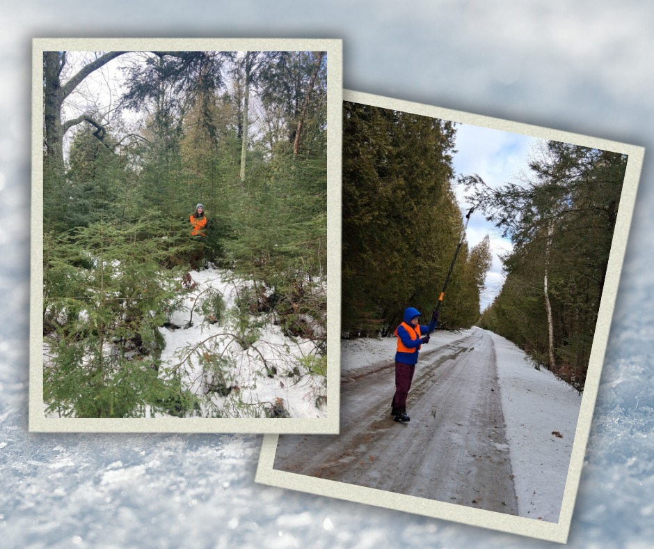 Our HWA crew is still hard at work surveying! While exploring different wooded properties, they see some cool and pretty things. Here are just a few of them!
#fieldphotos #surveying #exploring #forestphotography #naturephotography