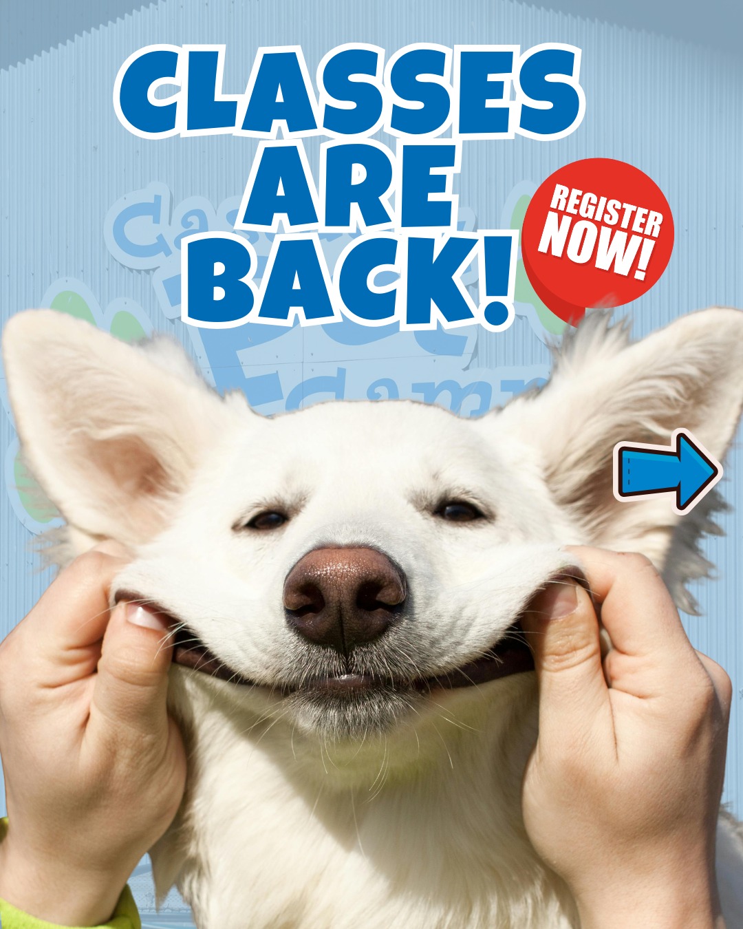 🌻 Training Classes are starting back up in April at Cascade Pet Camp! 🌻
Looking for a fun way to build skills, confidence, and a stronger bond with your dog? Our group and drop-in classes are kicking off soon, and we have options for puppies, beginners, and more advanced teams! 🤗
From Puppy Kindergarten and Companion Dog Obedience to Nose Work and our Reactive Rover drop-in class, there’s something for every pup and handler.
Check out the full schedule by visiting our website and find the class that fits you and your dog best! 🐶
✍🏼 Register Today!
🔗 www.CascadePetCamp.com
📲 (541) 354-2267
📍3085 Lower Mill Dr
Hood River, OR 97031