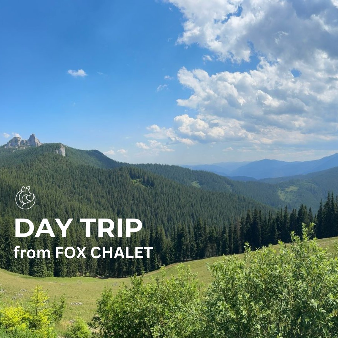 🇷🇴
Excursie de o zi de la Fox Chalet: Munții Rarău
Drumul este parte din experiență. TransRarău urcă în serpentine prin păduri și puncte panoramice până când apar spectaculoasele stânci numite Pietrele Doamnei.
Odată ajunși sus, puteți alege ritmul care vi se potrivește:
• Varianta ușoară: opriri pentru priveliști și plimbări prin pajiștile alpine.
• Varianta pentru drumeți: o drumeție relativ scurtă dar intensă către Pietrele Doamnei.
Traseul durează de obicei 45–90 de minute, în funcție de rută. Spre final există un segment scurt cu lanțuri fixate în stâncă, care ajută la trecerea unei porțiuni mai abrupte. Este sigur pentru majoritatea drumeților, dar adaugă puțină aventură urcării.
Vara, pajiștile sunt pline de flori și fructe de pădure, iar priveliștile se deschid peste Obcinile Bucovinei.
Fie că veniți pentru drumeție, pentru peisaj sau doar pentru un drum spectaculos de munte, Rarău este o excursie perfectă de jumătate de zi sau o zi întreagă de la Fox Chalet.
🇬🇧
The drive itself is part of the adventure. The TransRarău road winds through forests and mountain viewpoints, slowly revealing the dramatic limestone towers known as Pietrele Doamnei.
Once you reach the plateau, you can choose your pace:
• Easy option: simply enjoy the panoramic views from the road and nearby meadows.
• Hiking option: a short but rewarding hike leads toward Pietrele Doamnei.
The hike is moderate, usually about 45–90 minutes depending on the route. Near the top, a short section uses chains fixed into the rock to help hikers navigate a steeper passage. It’s safe and quite manageable for most people with decent footwear, but it adds a little thrill to the climb.
In summer the slopes are dotted with wildflowers and wild berries, and the open alpine landscape offers sweeping views across Bucovina’s forested ridges.
Whether you come for the hike, the scenery, or simply a beautiful mountain drive, Rarău makes for a memorable half-day or full-day outing from Fox Chalet.
#FoxChalet | #Bucovina | #Rarau | #PietreleDoamnei | #Transrarau | #DiscoverRomania | #VisitBucovina | #RomaniaTravel | #HikingRomania | #WildBucovina |