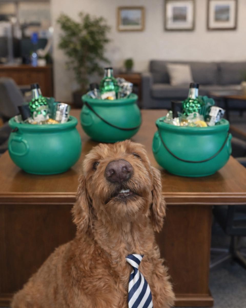 🍀 Official Quality Control Has Spoken. 🍀
Meet Hamilton (aka Hammy), our Senior Pawtner here at The Tickled Pickler — head of snack security, nap logistics, and very serious gift approval duties.
After a thorough inspection (and several suspicious sniffs), Hammy is happy to report that the St. Paddy’s Day Pot of Gold Vinegar Gift Set and our St. Paddy’s Day Salt & Seasoning Sampler have officially earned two paws up. 🐾🐾
Inside these lucky bundles you’ll find:
✨ Small-batch live vinegar
✨ Gourmet finishing salts
✨ Fermented flavor magic
✨ Enough deliciousness to make any kitchen feel a little more lucky
Hammy would also like to remind everyone that these make excellent gifts… and that hardworking Senior Pawtners accept payment in treats.
🍀 Ready to strike flavor gold?
Shop The Tickled Pickler at:
www.thetickledpickler.com/shop
#thetickledpickler #seniorpawtner #stpaddysday #foodiegifts #livevinegar #fermentedfoods #shoplocal #luckoftheirish