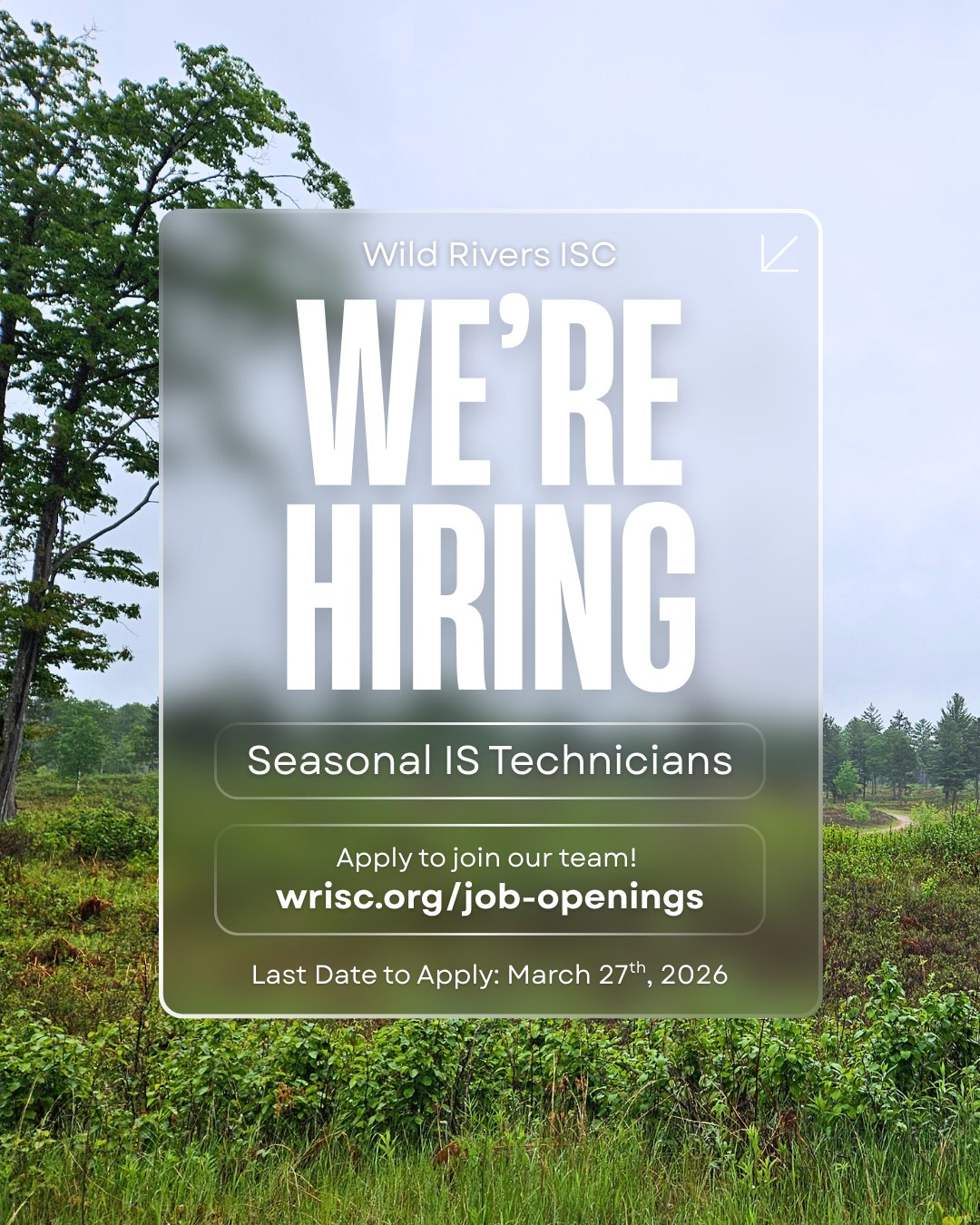 Applications are due this Friday - March 27th!
Interested in invasive species, native plants, and helping your local ecosystems? Then check out our Seasonal Technician postings!
Apply to join our team by March 27th, 2026.
May - September, $19/hr, great experience!
Learn more on our website: www.wrisc.org/job-openings
#jobs #environmentalscience #conservation #seasonaljobs