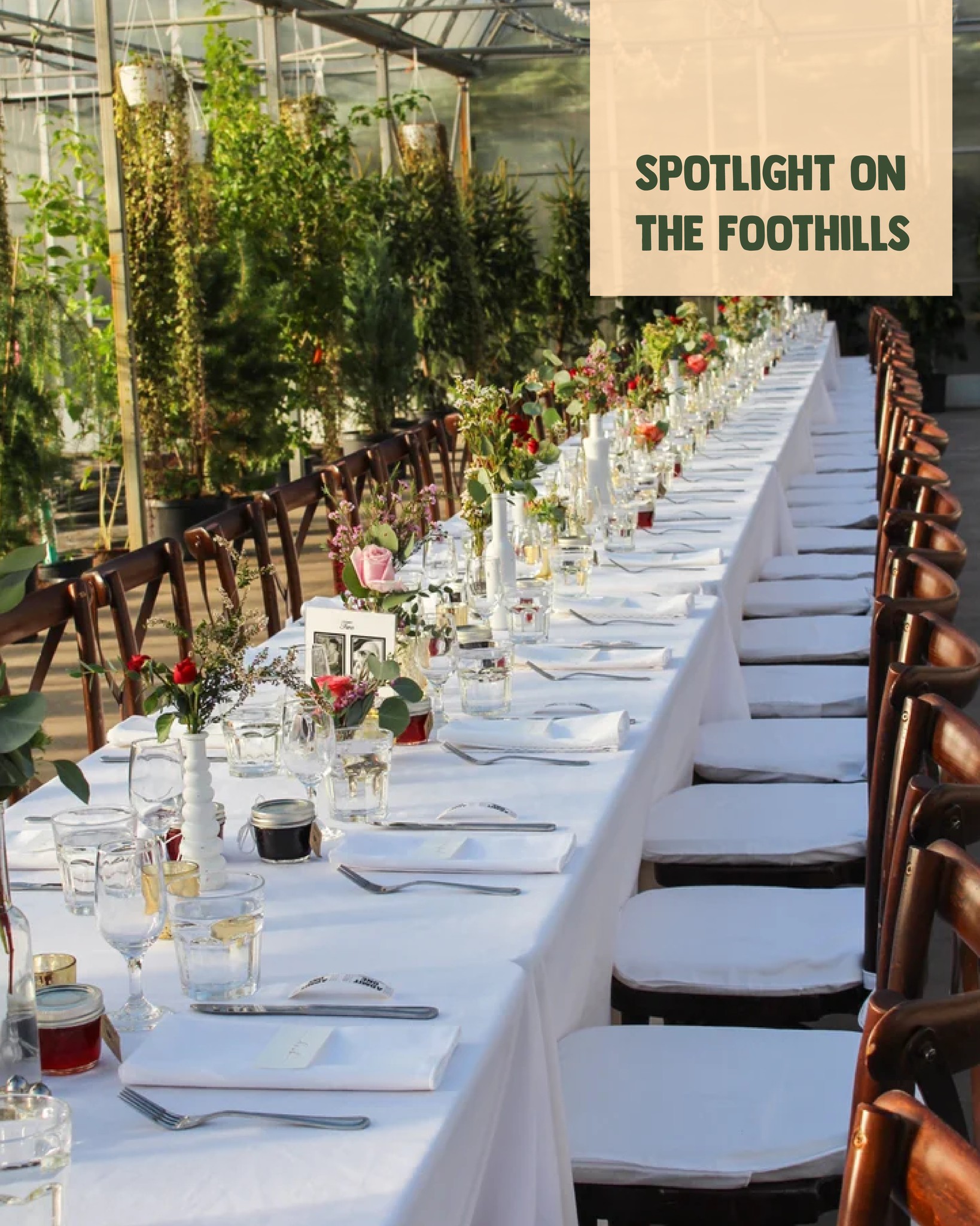 𝐁𝐎𝐎𝐊 𝐘𝐎𝐔𝐑 𝐍𝐄𝐗𝐓 𝐆𝐀𝐓𝐇𝐄𝐑𝐈𝐍𝐆 𝐈𝐍 𝐓𝐇𝐄 𝐅𝐎𝐎𝐓𝐇𝐈𝐋𝐋𝐒 ✨
From cozy retreats to charming wedding venues and unique spaces tucked into the landscape, the Foothills are full of spots that make every gathering feel special.
Our new Venues page brings together some of our favourite locations in one place, making it easier to find the perfect fit for your event, wedding, or retreat.
📍 Foothills venues can also join our directory through Membership Packages to share their space with visitors from near and far.
Discover the perfect backdrop for your next Foothills experience at the link in our bio.