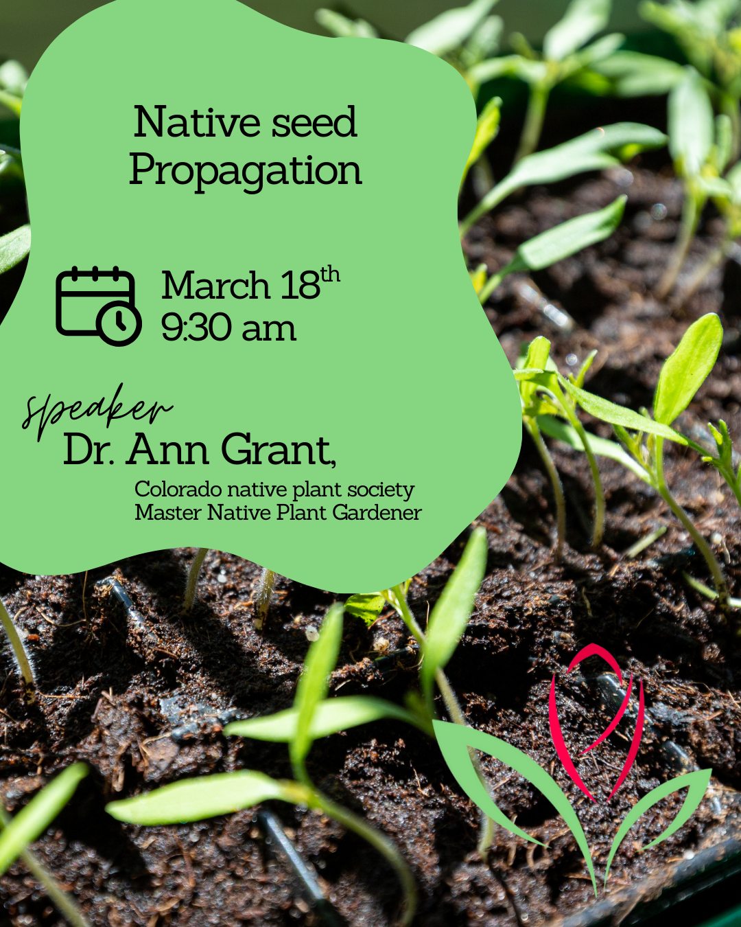 We are so excited for our monthly meeting this Wednesday, March 18. We have a very special guest joining us: Dr. Ann Grant, a Master Native Plant Gardener!
Dr. Grant will be giving an in-depth lecture on the beauty and benefits of native plants in our Colorado landscapes. While we won't be doing a hands-on activity this month, you'll want to bring a notepad—her wealth of knowledge is something you won't want to miss!
📍 Where: FMS Bank Community Room (2425 35th Ave)
🕘 When: Wednesday, March 18 | M#mastergardener
Colorado Native Plant Society
@coloradonps
#GreeleyMorningGardenClub #NativePlants #DrAnnGrant #GreeleyCO #ColoradoGardening #MasterGardener