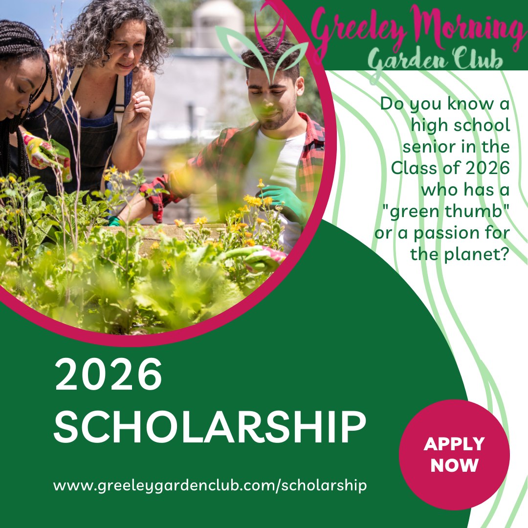 "To plant a garden is to believe in tomorrow." — Audrey Hepburn 🌷
At the Greeley Morning Garden Club, we believe in the tomorrow of our local students. We are officially seeking applicants for our $2,000 scholarship grant!
We are looking for a 2026 senior who is ready to lead the way in conservation, horticulture, or gardening. This grant is our way of ensuring that the beauty and health of our environment are in good hands for generations to come. 🌏
Passionate about the planet? We want to hear from you!
🌱 Apply at: https://www.greeleygardenclub.com/scholarship
#SustainableFuture #GreeleyMorningGardenClub #ScholarshipSearch #HorticultureStudent #GreeleyProud