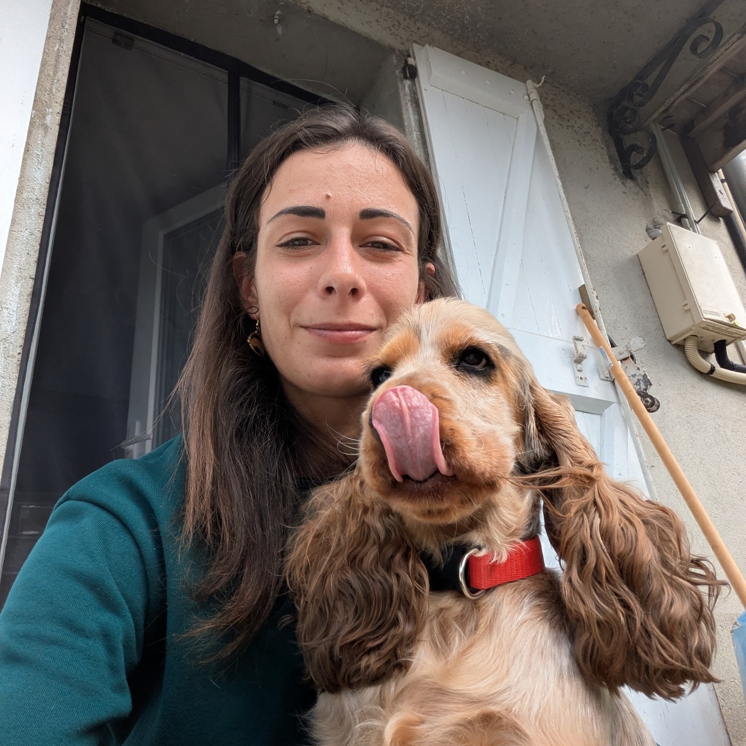đŸ Jâai une question pour vousâŠ
đ Si vous pouviez amĂ©liorer UNE chose chez votre animal, ce serait quoi ?
Son stress ?
Son alimentation ?
Son comportement ?
Sa santĂ© (digestion, peau, Ă©nergieâŠ) ?
Autre ?
Je suis curieuse de connaĂźtre vos rĂ©ponses đ
đŹ Dites-moi en commentaire, ça mâaidera aussi Ă crĂ©er du contenu et Ă mieux vous accompagner
Et qui sait⊠je pourrai peut-ĂȘtre dĂ©jĂ vous donner une premiĂšre piste âš
www.lrocket.fr
