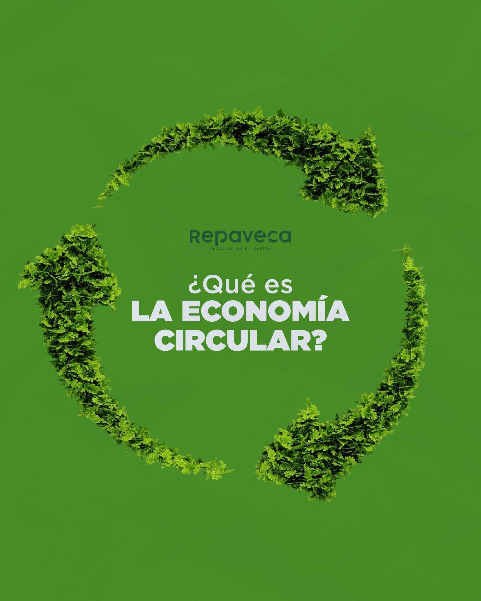 Cada vez que separas tu papel y cartón, estás ayudando a que los materiales sigan circulando, se aprovechen mejor y regresen al sistema en forma de nuevos productos 🌱🔄
La economía circular comienza con pequeñas acciones diarias y decisiones más conscientes, tanto en casa como en las empresas.
♻️En Repaveca trabajamos para que ese proceso sea sencillo, responsable y accesible para todos
📍 Zona Industrial Palo Verde, calle 2 de La Industria
📲 Contáctanos: Master: 0212-2516010 | WhatsApp: 0414-1211479
www.repaveca.com.ve/contacto
#Repaveca #Reciclaje #Venezuela #PlantaRecicladora #Ecoamigable #ReciclajeVenezuela #tipsdereciclaje #ReciclajeEnCasa