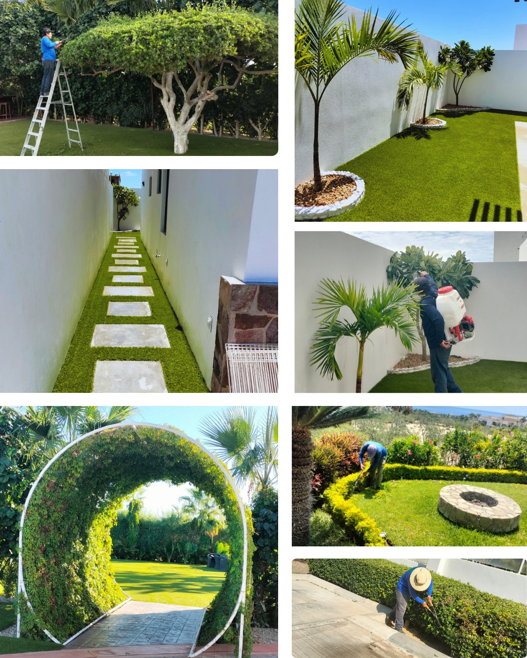 🌿✨ Te mistramos algunos de nuestros trabajos ✨🌿
Cada proyecto refleja nuestro compromiso con la calidad y el detalle.
Transformamos espacios para que se disfruten al máximo.
📞 Cotiza con nosotros: 624 358 2814