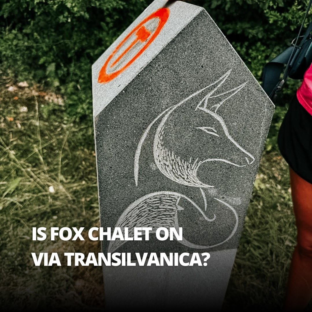 🇷🇴
Unele călătorii te invită să încetinești.
Via Transilvanica este una dintre ele.
Pentru câteva zile în Bucovina—prin Moldovița, Sadova și Mestecăniș—nu trebuie să te muți dintr-un loc în altul. Te poți întoarce în același spațiu. La aceeași liniște.
La Fox Chalet, traseul întâlnește tihna.
Un loc unde poți lăsa rucsacul mai greu deoparte, să te odihnești, să te refaci—poate chiar cu un masaj la finalul zilei.
Pentru că uneori, călătoria devine mai profundă atunci când îți permiți să faci o pauză.
🇬🇧
Some journeys ask you to slow down.
Via Transilvanica is one of them.
For a few days in Bucovina—through Moldovița, Sadova, and Mestecăniș—you don’t have to keep moving from place to place.
You can return to the same space. The same quiet.
At Fox Chalet, the trail meets stillness.
A place to leave heavier packs behind, to rest, to recover—maybe even with a massage at the end of the day.
Because sometimes, the journey deepens when you allow yourself to pause.
🔗// Learn more in our bio link
#FoxChalet | #ViaTransilvanica | #Bucovina | #ValeaSalatrucului | #CalatoriiLente | #Drumetii | #Natura | #Relaxare | #Romania #visitromania #longdistancehiking #trailsworthhiking #visitromania #hiking #hike #drumetii #cazareinbucovina