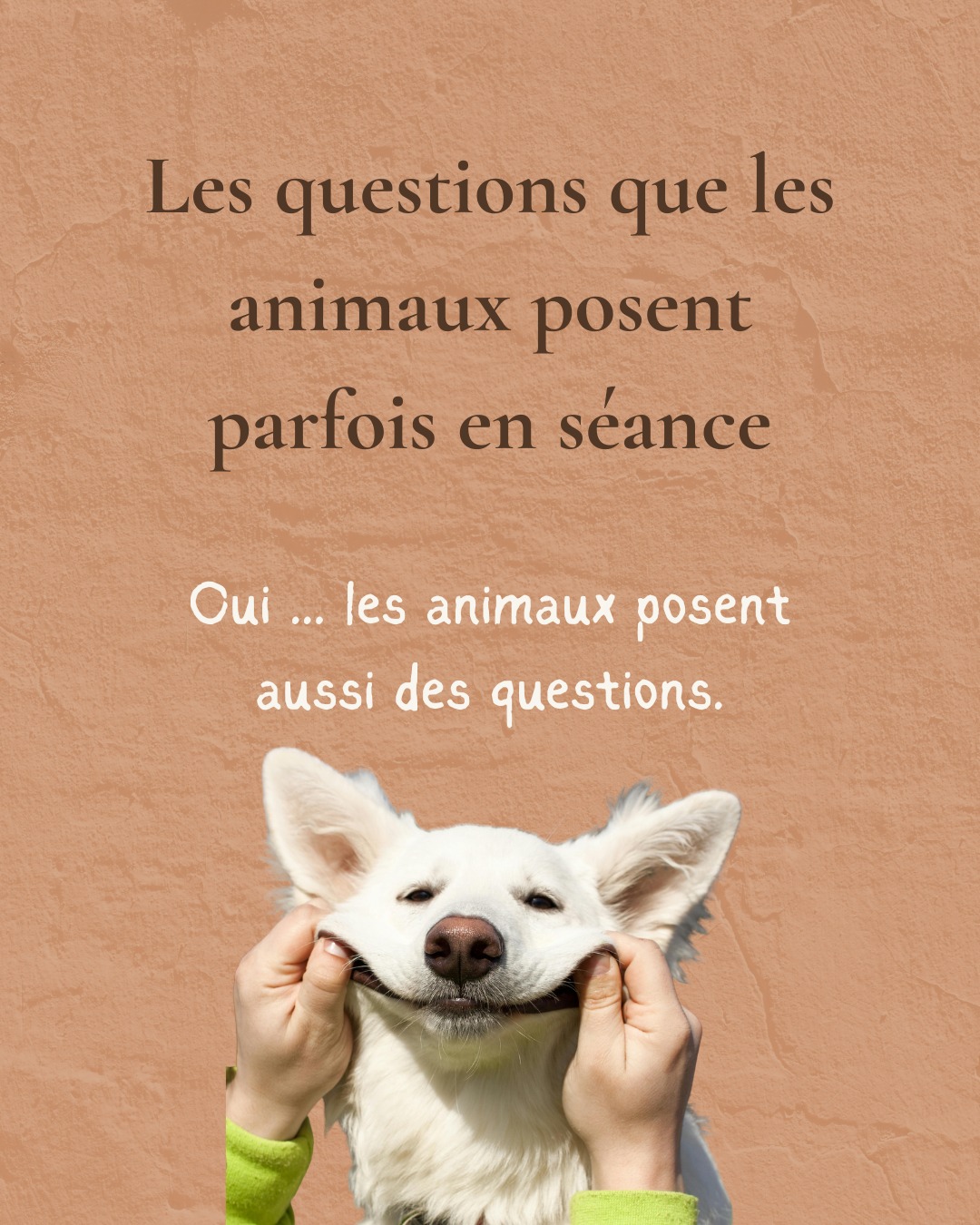 Lors d’une communication animale,
on pense souvent que l’animal va répondre
Mais parfois…
il pose aussi des questions
Et c’est souvent là que ça devient le plus touchant
Parce que ses questions ne sont pas anodines
Elles parlent de toi
de ce que tu vis
de ce qu’il ressent sans toujours comprendre
Il peut chercher à savoir
pourquoi quelque chose a changé
pourquoi tu es comme ça en ce moment
ou simplement ce qu’il se passe dans ton monde
Parce que le lien entre un animal et son humain
va souvent bien plus loin que ce qu’on imagine
✨ Dis-moi
si ton animal pouvait te poser une seule question
ce serait quoi ?