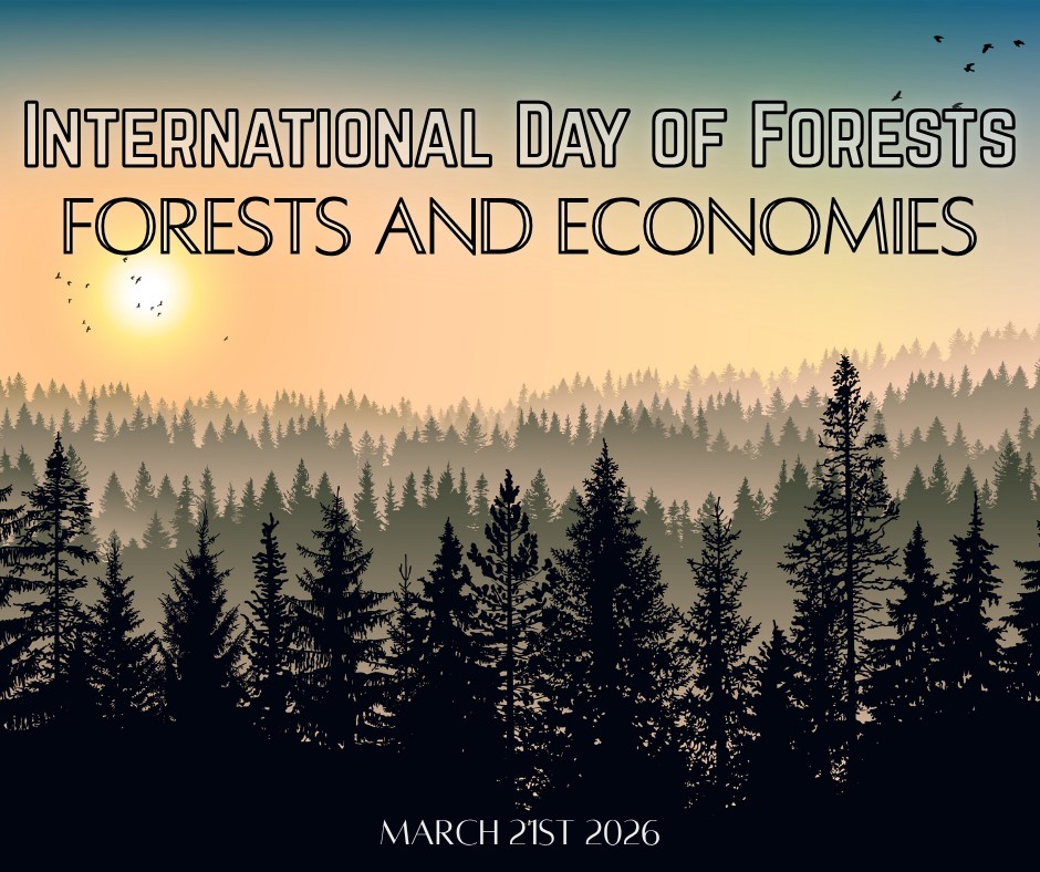 International Day of Forests aims to raise awareness of the importance of forests to humans and the Earth. This year's theme is all about forests and economies!
#forests #trees #economyhealth #forestsandeconomies #community #forestfoods