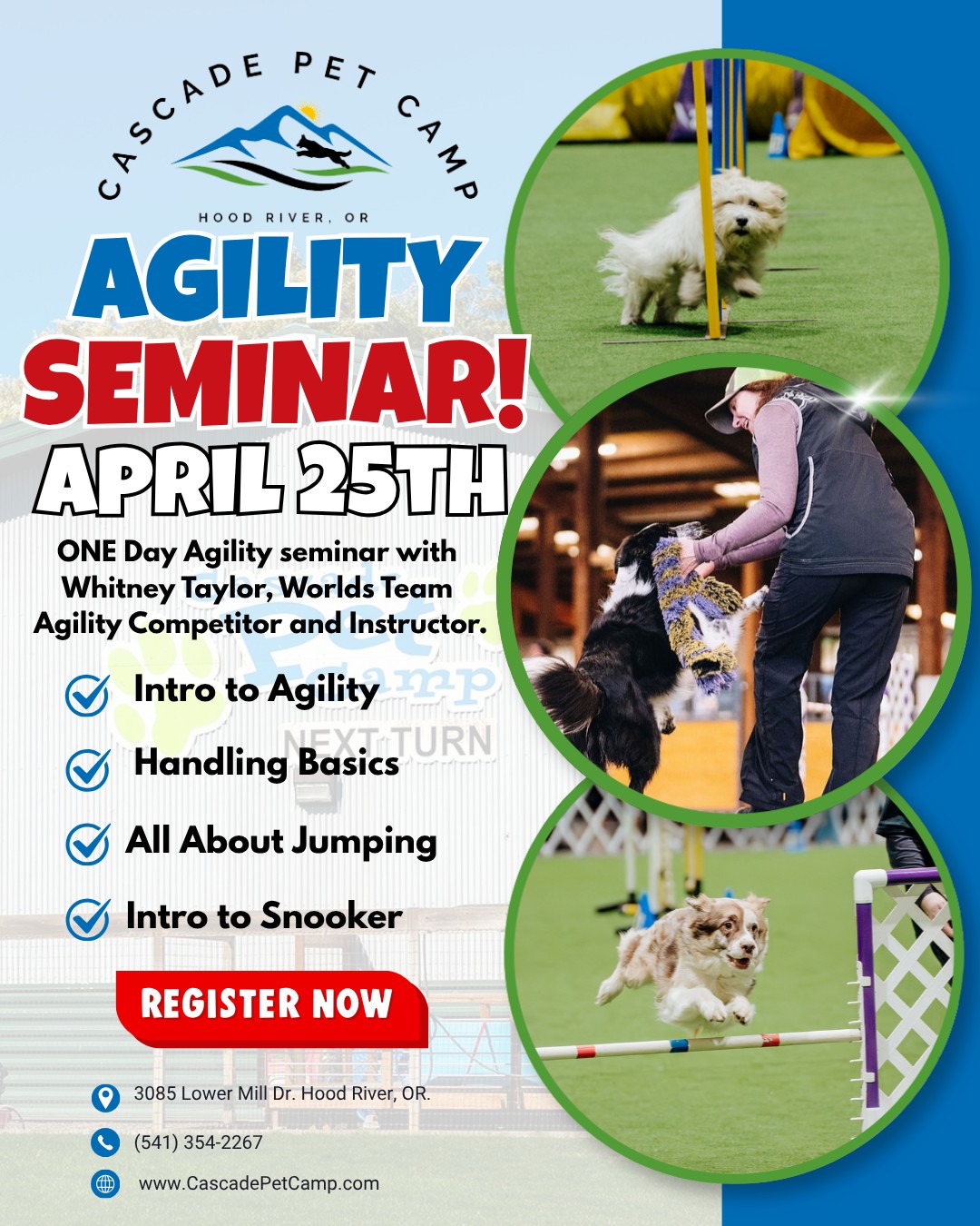🐾 Agility Seminar with Whitney Taylor! 🐾
We’re excited to host a ONE-DAY Agility Seminar with Whitney Taylor, Worlds Team competitor and incredible instructor from Canine Highjinks, April 25th!
This event will feature three 2-hour sessions, each focused on a different skill:
✨ Intro to Agility (perfect for newcomers!)
✨ Handling Basics
✨ All About Jumping / Snooker
Whether you’re just getting started or looking to level up your current skills, this is an amazing opportunity to train with one of the best, right here in The Gorge!
💲 $250 per session
💲 $450 for two sessions
💲 $650 for all three sessions
Perfect for local teams or those looking to make a fun training weekend out of it! 🐶
Want to join in on the fun? Reach out to learn more or secure your spot!👇🏼
🔗 www.CascadePetCamp.com
📲 (541) 354-2267
📍3085 Lower Mill Dr
Hood River, OR 97031