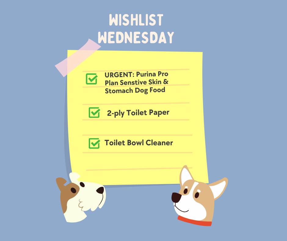 🚨 Wishlist Wednesday – URGENT 🚨
We are in urgent need of Purina Pro Plan Sensitive Skin & Stomach Dog Food to help keep our pups healthy and comfortable.
This week’s wishlist items:
• Purina Pro Plan Sensitive Skin & Stomach Dog Food (most urgent)
• 2-ply toilet paper
• Toilet bowl cleaner
Donations can be dropped off at the shelter or ordered through our Amazon Wishlist (pinned at the top of our page).
Your support helps us care for every animal who walks through our doors. Thank you for being there for them!