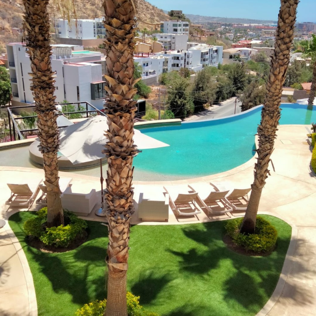 ☀️💦🌿 Prepara tu espacio para disfrutar el verano 🌿💦☀️
Transforma tu jardín o área de alberca con pasto sintético y diseño de jardín, creando un ambiente más fresco, limpio y listo para disfrutar en familia o con amigos.
✔ Siempre verde y estético
✔ Ideal para zonas de alberca
✔ Bajo mantenimiento
✔ Ahorro de agua 💧
✔ Espacios más cómodos y funcionales
En Jardinería Mirandas diseñamos espacios que se ven increíbles y se disfrutan aún más.
📞 Cotiza tu proyecto: 624 358 2814
🌿 Jardinería Mirandas – Creamos espacios para disfrutar