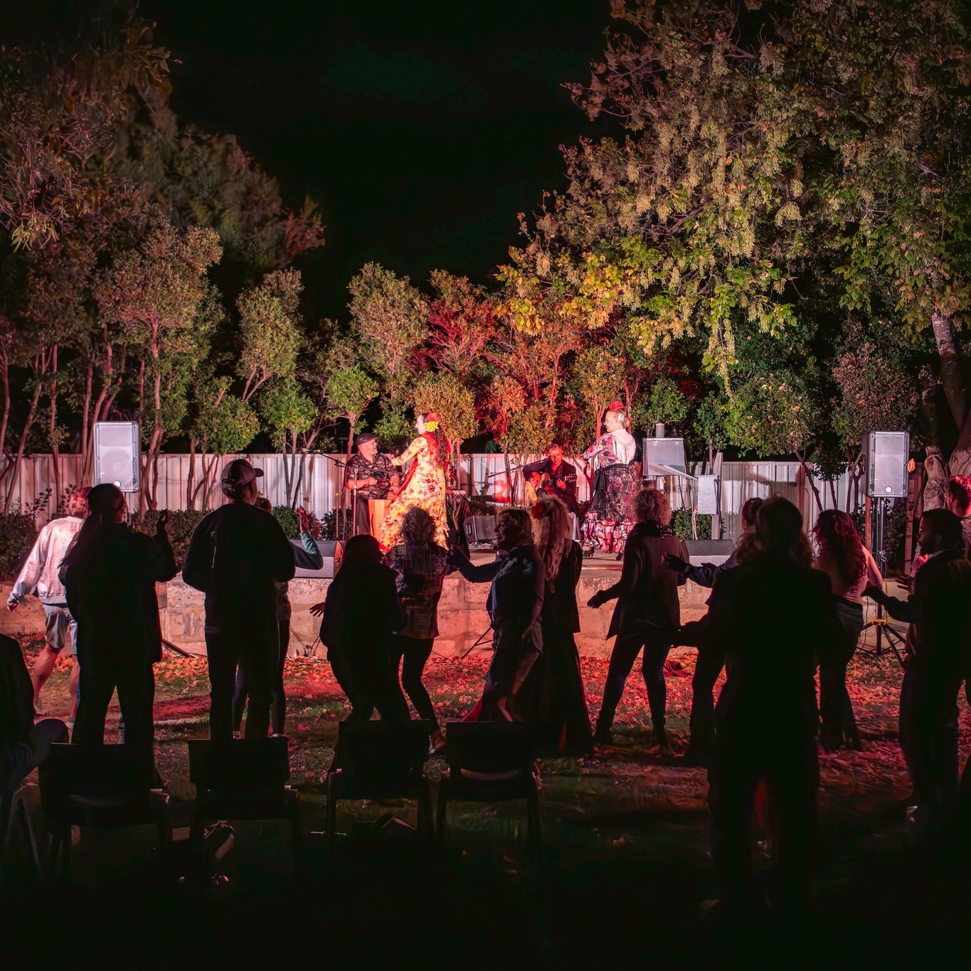 ๐๐ง๐๐๐ซ ๐ญ๐ก๐ ๐ฌ๐ญ๐๐ซ๐ฌ, ๐ญ๐ก๐ ๐ฆ๐ฎ๐ฌ๐ข๐ ๐ญ๐จ๐จ๐ค ๐จ๐ฏ๐๐ซ.
Latin meets Flamenco with Aire Flamenco delivered a night of passion, rhythm and unforgettable moments, with the audience drawn in and dancing along.
From the first beat to the final bow, it was a celebration of movement, connection and pure Fringe magic.
๐ธ @abbymurrayphotography ๐