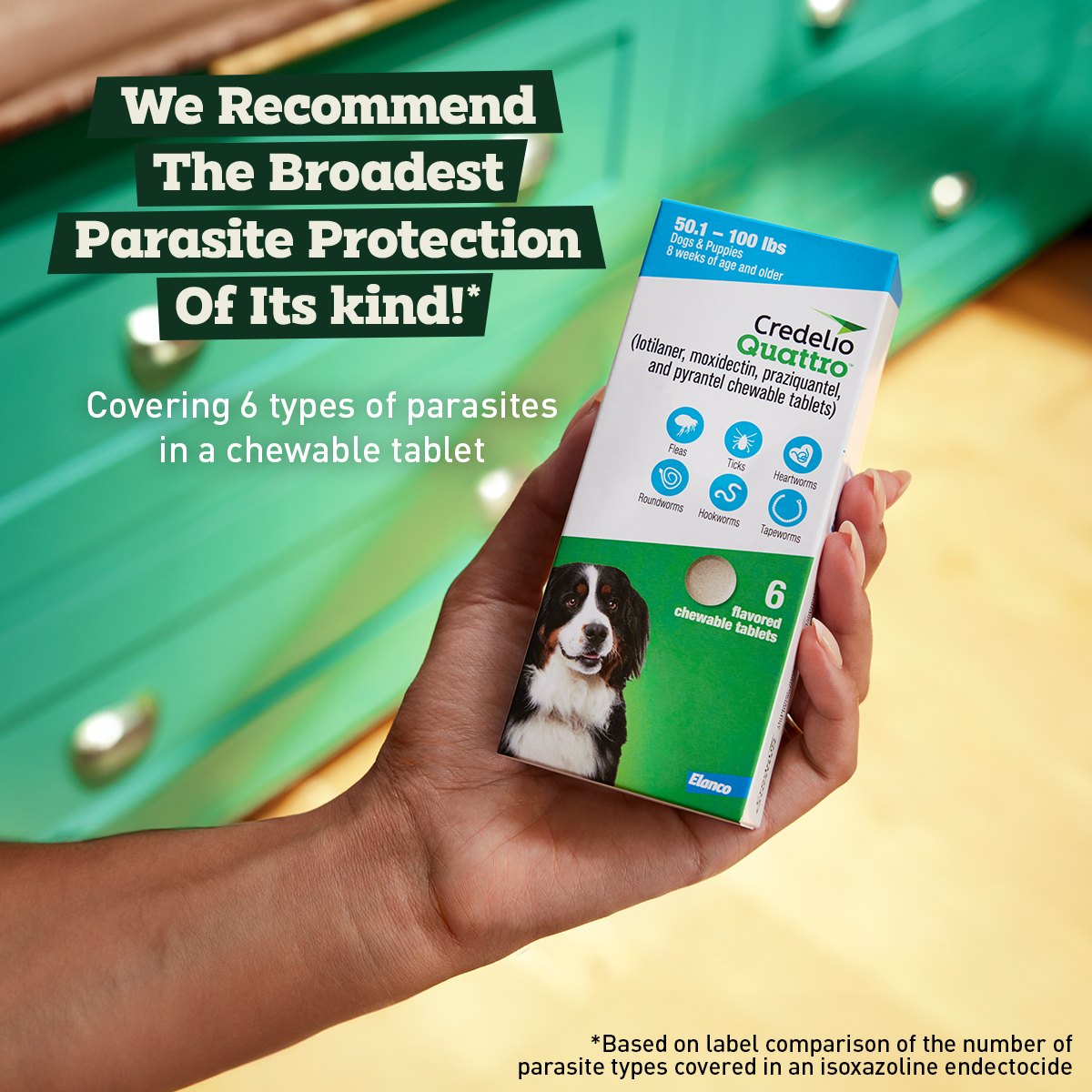 Six-in-One Protection? Yes, please! 🛡️🐕
At West Ridge Animal Hospital, we know your time is valuable and your dog’s safety is everything. That’s why we are excited to now offer Credelio Quattro™—a single monthly chewable that provides the most complete parasite protection available.
Whether you're hiking the Poudre River Trail or relaxing in the backyard, one tasty tablet covers:
✅ Heartworm disease prevention
✅ Fleas and Ticks (including those that carry Lyme Disease)
✅ Roundworms and Hookworms
✅ Tapeworms
Starting your puppy on the right paw? This is approved for little ones as young as 8 weeks (weighing at least 3.3 lbs). Give us a call at 970-330-7283 to see if this "all-in-one" hero is right for your dog!
