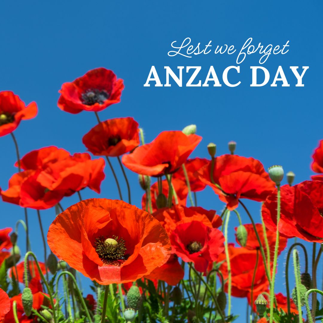 Today, we pause to honor and remember the brave men and women who served and sacrificed for our country. Lest we forget.