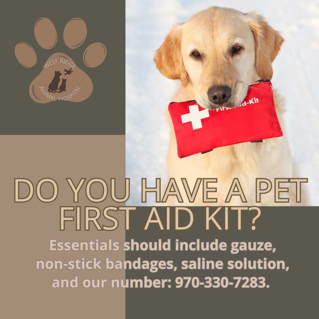 Accidents happen fast.
Do you have a pet first aid kit?
Essentials should include gauze, non-stick bandages, saline solution, and our number: 970-330-7283.
Being prepared is the first step in being a WRAH Warrior!
#PetFirstAid #SafetyFirst #AnimalHospital #GreeleyPets