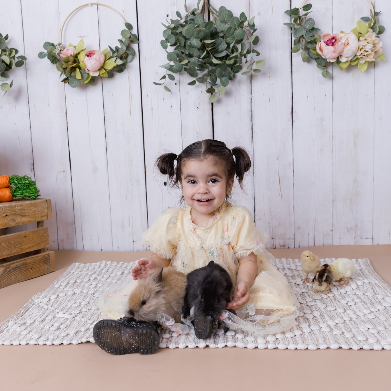 There is just something about Easter Minis 🐰🌸
The sweetest little outfits, giggles filling the studio, and tiny hands so gently holding baby chicks 🥹
I got to hug so many of my favorite families AND meet some brand new ones this year… truly one of my favorite parts of what I do.
Also… can we talk about the bunnies?! Because they absolutely stole the show 🐇💛
Days like this remind me how special these little seasons of life are—and how lucky I am to capture them for you.