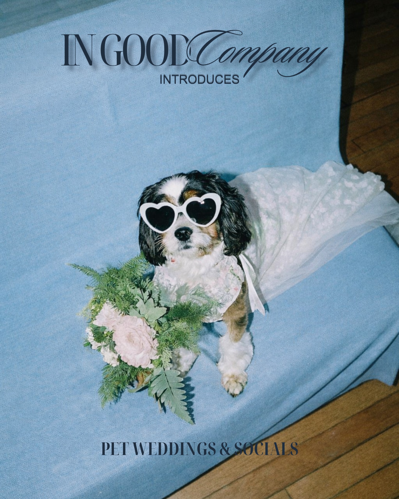 We’re excited to introduce a new offering.
After years of designing and producing meaningful celebrations,
we’re expanding into something close to our hearts.
Pet Weddings & Socials
From intimate backyard ceremonies
to fully curated experiences,
our team will approach each celebration
with the same level of intention and care.
Because every love story deserves to be celebrated.
🤍
In Good Company
#ingoodcompanyevents
#eventdesignandplanning
#creativeproduction
#luxuryevents
#weddingdesign
#weddingproduction
luxury wedding planner
event design and production
wedding planning services
curated events
full-service planning
custom wedding design
wedding experience