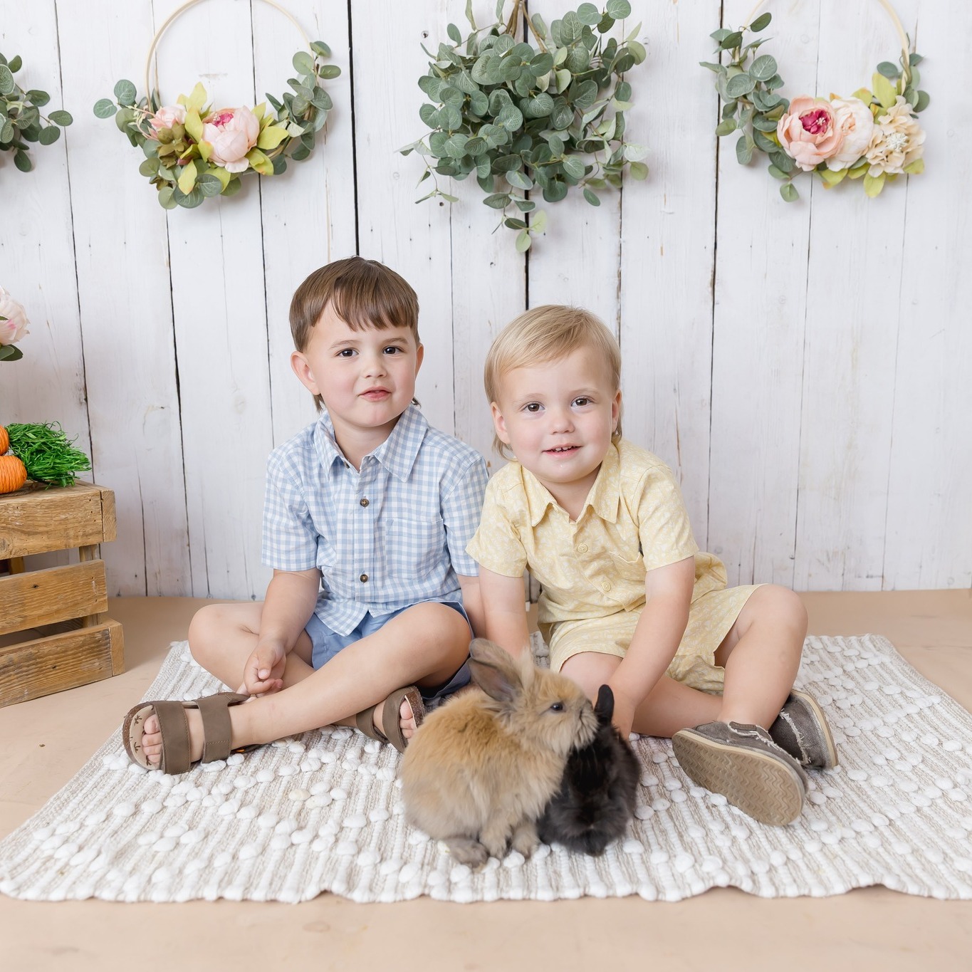 Easter Minis weekend = FULL heart 💛
Seeing familiar faces walk through the door and watching how much your babies have grown…
Meeting new families and getting to be part of your story for the first time…
And of course, all the bunny snuggles and chick cuddles 🐰🐥
It’s busy, it’s a little wild, and it is SO much fun.
Thank you for filling my studio with so much joy. Truly.
