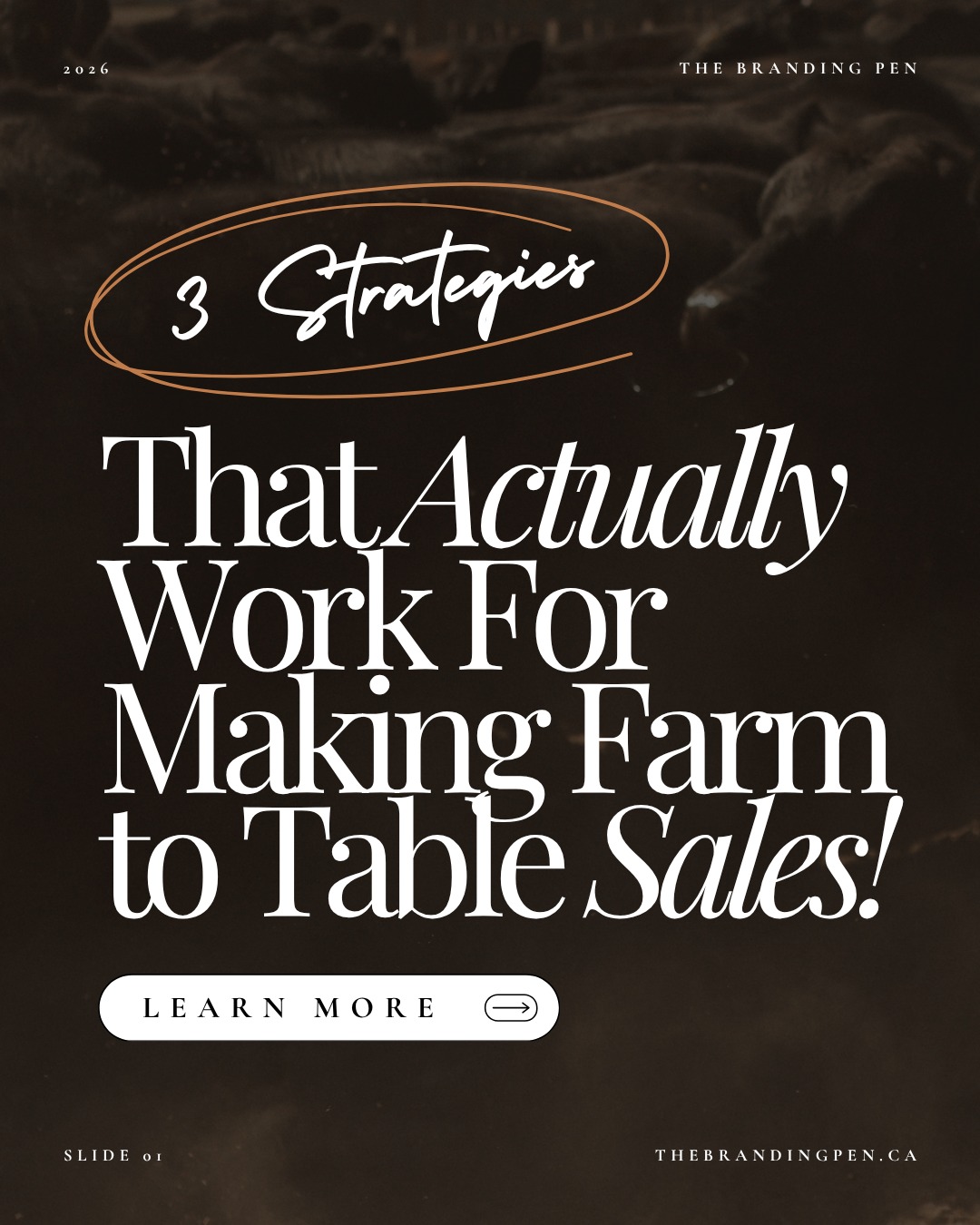If you want to actually sell out your farm-to-table product, these 3 things matter more than most people realize. They seem small but they actually make a world of difference and without them it'll be very difficult to scale your business to the level of sales you're looking for.
1. Trust (Consistency)
If people only hear from you when you have beef available,
they don’t know you well enough to buy.
Show up consistently.
Let people get familiar with you, your farm, and how you operate.
👉 The buy-in comes before the purchase.
2. Social Proof
Folks are more likely to purchase from brands that they can tell other people like and enjoy. Once you start getting positive feedback make sure you spread the word. People want to know: “Has anyone else bought from this person—and had a good experience?”
Share:
– customer feedback
– repeat buyers
– photos of orders
– real experiences
👉 This reduces risk and builds confidence.
3. Authority
You live this every day—but your audience doesn’t see that unless you show it. Take control of the narrative and be proud of your background and lifestyle.
Talk about:
– how you raise your animals
– why you do things the way you do
– what makes your operation different
- why your ranch is the ranch folks should invest in
👉 Not to “educate”… but to build trust and credibility.
Most ranchers are doing some of this…
But not in a way that actually moves people toward buying.
That’s the difference.
If you want help applying this to your farm or ranch, DM me to book a coaching call.
I’ll walk you through exactly how to turn this into a system that supports consistent sales.
Shelby