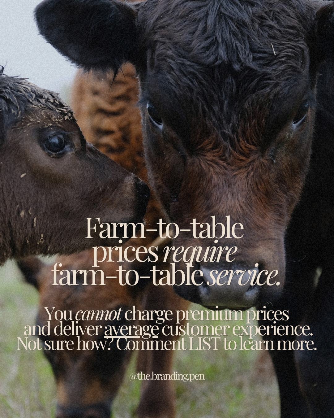 Farm-to-table prices require farm-to-table service.
You cannot charge premium prices and deliver an average buying experience. Your sales won't be what you're wanting them to be because of the disconnect between the way you show up in the world (we call that positioning) and the experience your customer has with your brand (the customer experience.)
If someone is paying more for your beef that what they would at the grocery story, they expect:
– clear communication
– easy ordering
– fast, respectful replies
– a smooth, professional experience
– and to feel like a premium buyer
Not confusion.
Not delays.
Not chasing you down just to figure out how to buy.
Because here’s the truth:
People don’t just pay for your product.
They pay for how it feels to buy from you and what this says about them. It goes deeper than you might think.
If your customer experience feels messy, your price will feel too high—every time.
This is where most farm-to-table businesses fall short.
Not because their product isn’t great.
But because their systems aren’t built to support premium sales and attract premium buyers.
That’s exactly why I created The FARMS System for my coaching clients— the 5 components you need in place to consistently sell your farm products online (whether that’s beef, coffee, tallow, or anything in between).
And now I’m breaking it all down and giving it away for free in my upcoming masterclass. Everyone on my email list will get access when it launches.
Comment LIST or sign up at the link in my bio and I’ll send it your way so you can be sure to get your hands on it!