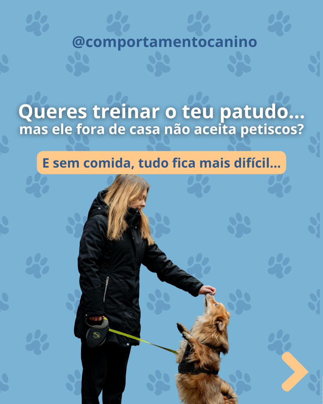 Treinar o teu pauto fora de casa parece impossível porque ele não aceita petiscos? 🐶❌
Antes de achares que ele é teimoso, há algo importante que precisas de perceber 👇
Na rua, o teu patudo está exposto a demasiados estímulos: cheiros novos, barulhos, pessoas, outros animais…
👉 isso pode deixá-lo em alerta ou ansioso
👉 e, nesse estado, a comida deixa de ser prioridade
Ou seja, o problema não é o treino… nem o petisco. É o ambiente.
Se queres melhorar o treino fora de casa:
✔ começa por locais mais calmos
✔ evita horas com muito movimento
✔ mantém distância de distrações
✔ aumenta a dificuldade de forma gradual
Treinar fora de casa não é sobre insistir mais… é sobre ajustar melhor 🐾
Conta-me: o teu cão aceita petiscos na rua ou também tens essa dificuldade? 👇