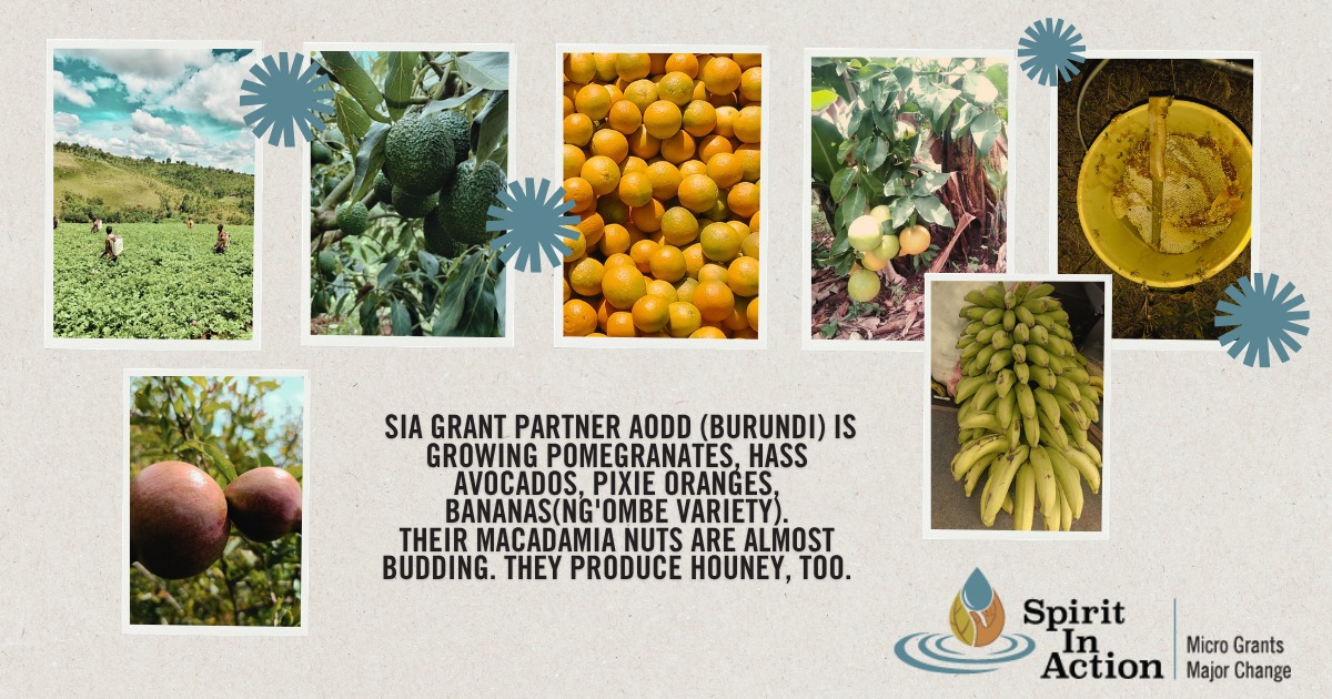 We asked SIA grant partners in agro business what they are growing, and this is what they shared.