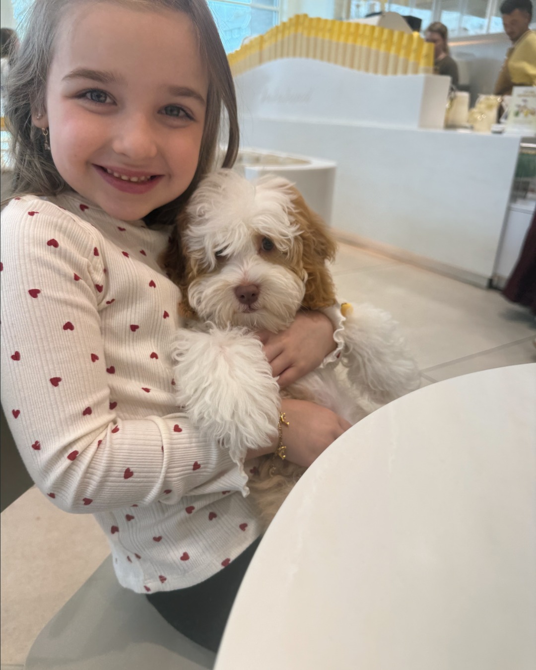 Happy National Pet Day š¶š¤
Theyāre more than petsā¦
Theyāre part of the family.
The quiet moments, the cuddles, the companionshipā
itās what makes them so special.
Weāre grateful every day for these little ones ā¤ļø
Drop a š¶ if your pup made your day better today
#SouthernMeadowsDoodles #SMDpups #BestPawForward
#AustralianLabradoodle #ALD #AustralianLabradoodlesOfInstagram
#LabradoodlePuppies #LabradoodleLove #LabradoodleLife
#MiniLabradoodle #MicroMiniLabradoodle
#PuppyLove #DogLovers #FamilyDog
#TherapyDogInTraining #AllergyFriendlyDogs
#NationalPetDay #DogsOfInstagram #PuppyOfTheDay