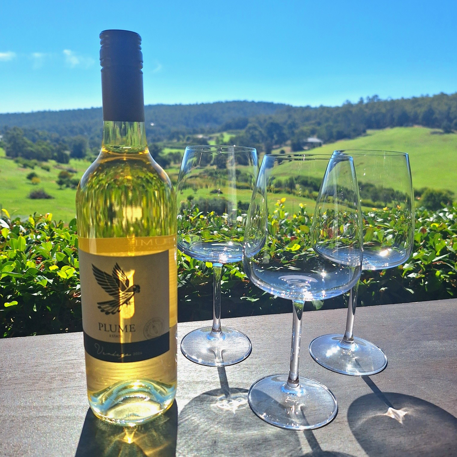 Book your table for the weekend! The valley is green and it's slowly changing in autumn ๐ colours.
Relaxing and quiet atmosphere, perfect to sip wine ๐ท and enjoy the view ๐