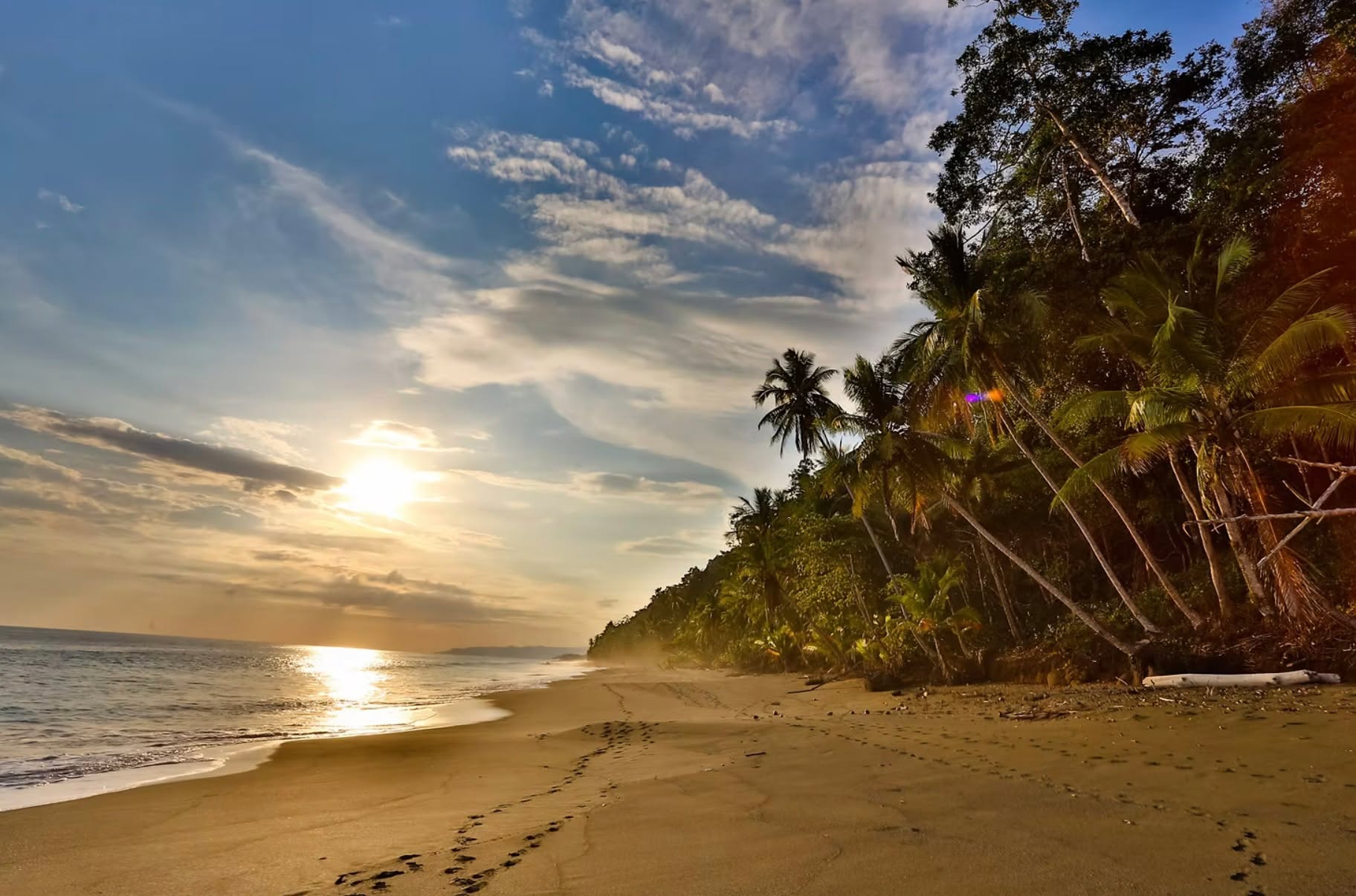 Terranova/Origen Costa Rica DMC stands out in the realm of travel planning, offering exceptional boutique-style services that are meticulously crafted to ensure unforgettable, tailor-made experiences throughout the stunning landscapes of Costa Rica. They are not just about itineraries; they're about creating a journey that resonates with the individual desires and aspirations of each traveler. Every journey designed is crafted to gradually unveil the serene beauty of Costa Rica, allowing travelers to immerse themselves fully in its enchanting environment. Whether it’s exploring the magical trails that wind through verdant jungles or discovering the vibrant wildlife that inhabits the country’s national parks, each moment is designed to foster a deep connection with nature. The itineraries are thoughtfully planned to balance adventure with relaxation, ensuring that travelers can experience the raw wilderness while enjoying the utmost comfort. Luxurious accommodations, personalized service, and exclusive access to hidden gems are just a few of the hallmarks of the experiences offered.
Ultimately, Terranova/Origen is dedicated to crafting journeys that are not just vacations, but transformative experiences that leave a lasting impression. Each trip is an opportunity to explore the rich cultural heritage, diverse ecosystems, and stunning vistas of Costa Rica, all while enjoying the personalized touch that sets boutique travel apart. Every traveler can expect a well-rounded adventure that harmonizes luxury, comfort, and ecological mindfulness, creating memories that will be cherished for a lifetime.
For details info@dominiquedebay.com or by phone 1-212-752-1416 or WhatsApp 1-917-940-2407 #dominiquedebaycollection @terranovaOrigen #Puravida