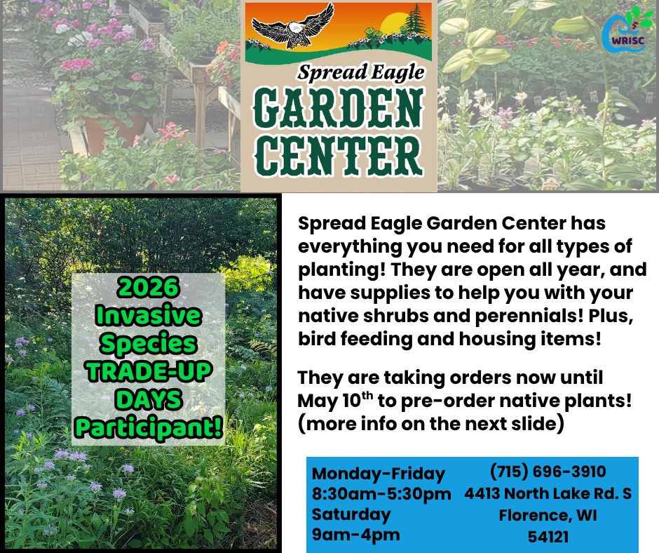 Invasive Trade-Up Days start on May 4th, just a few more weeks away!
Spread Eagle Garden Center is accepting vouchers again this year!
And this year, they are taking orders for native plants! They have a large variety of perennials and grasses available.
Check out their Facebook: Spread Eagle Garden Center for more info!
#TradeUpDays #nativespecies #shoplocal #invasivespecies #gardening #nativelandscape
